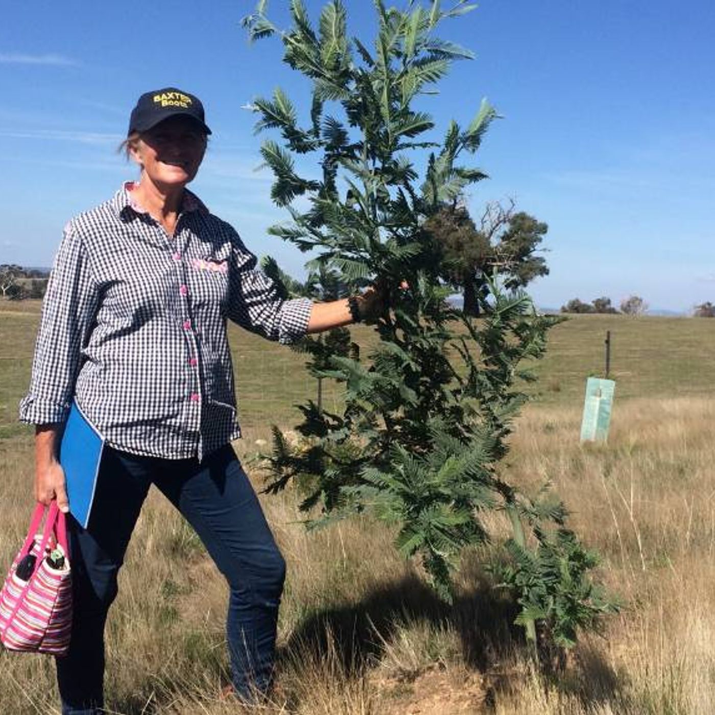 The Landcare Spot