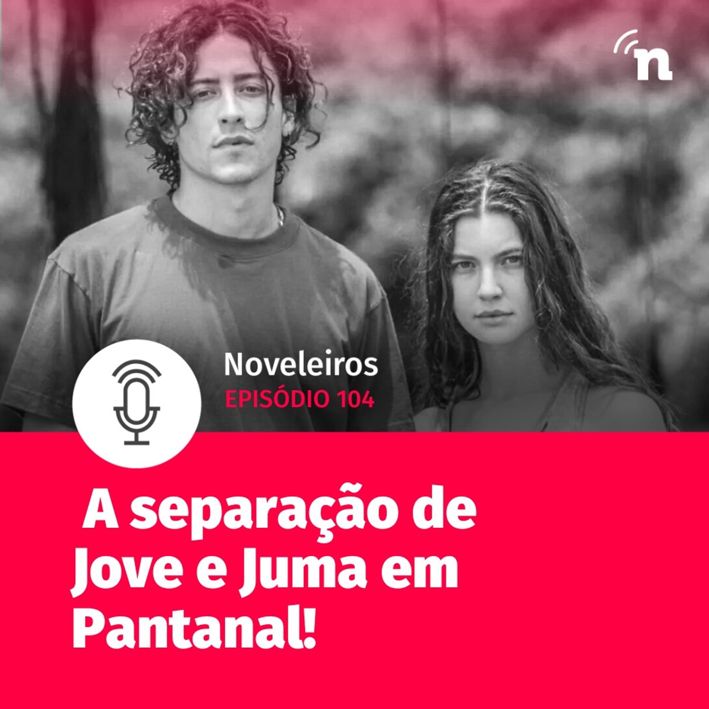 Noveleiros