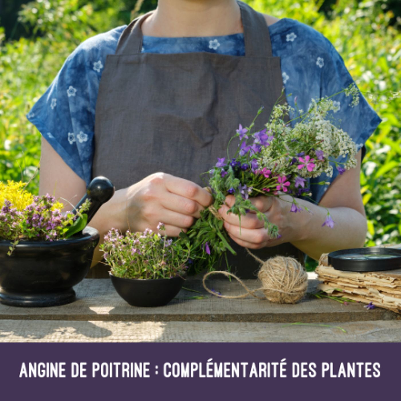 Angine de poitrine : complémentarité des plantes