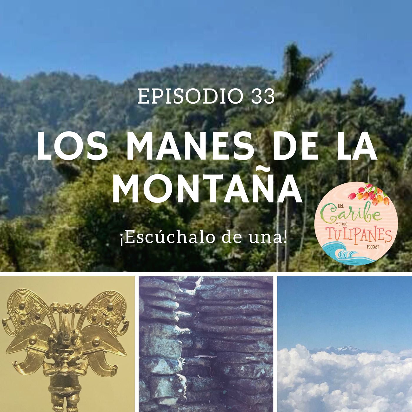 Del Caribe y otros Tulipanes