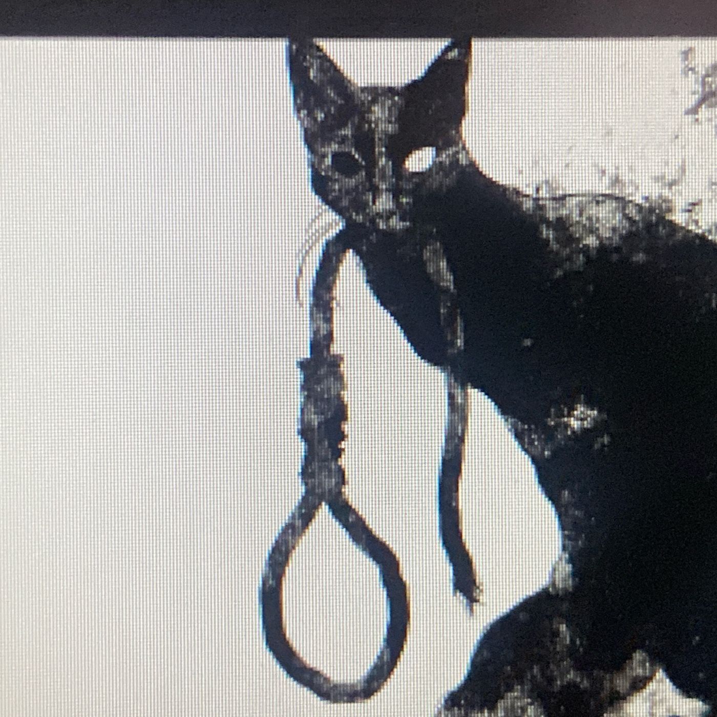 El Gato Negro podcast artwork