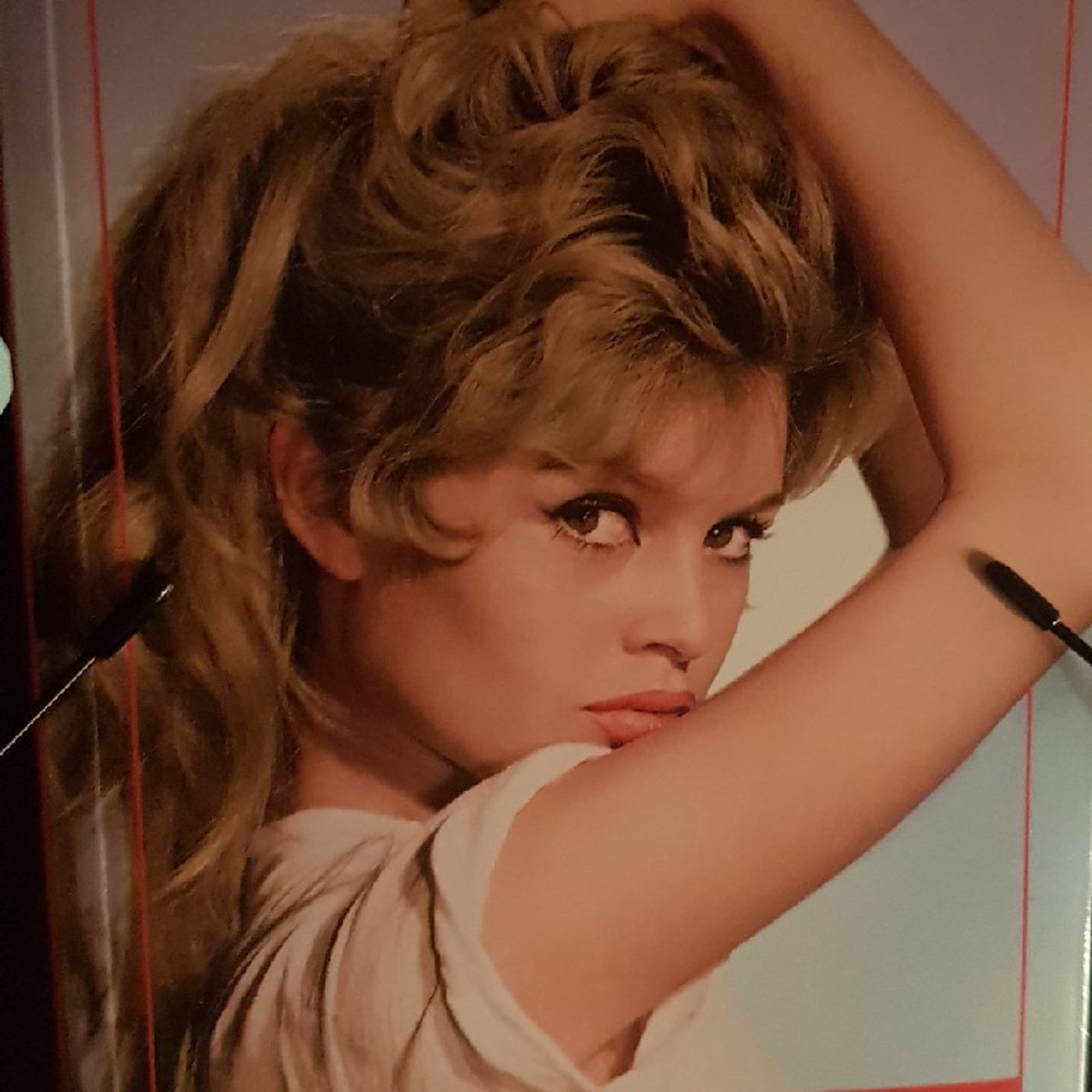 Icone : Brigitte Bardot  - BB