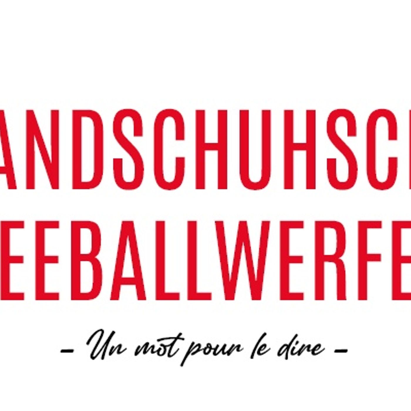 Un mot pour le dire : Handschuhschneeballwerfer