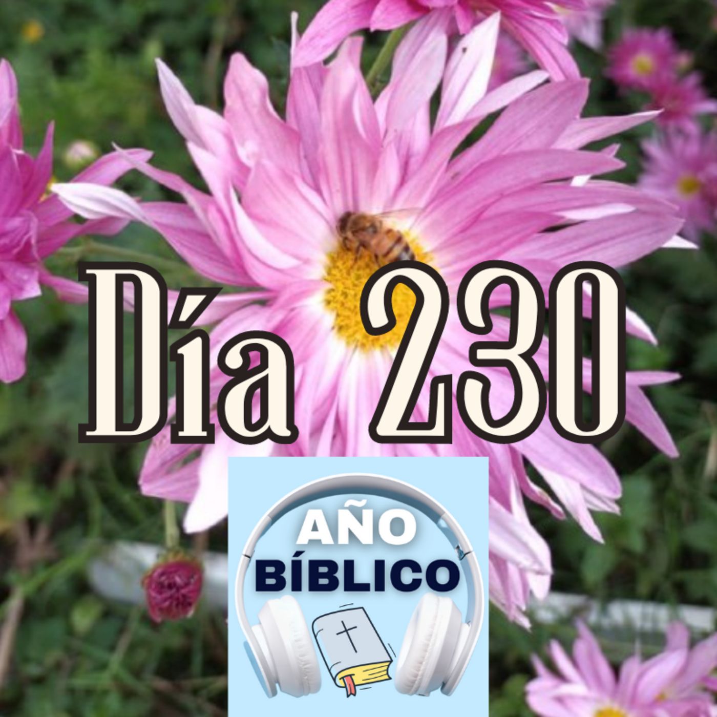 Día 230 - Salmo 94:16-23, Job 40-42 y 1 Corintios 12:12-31 episode artwork