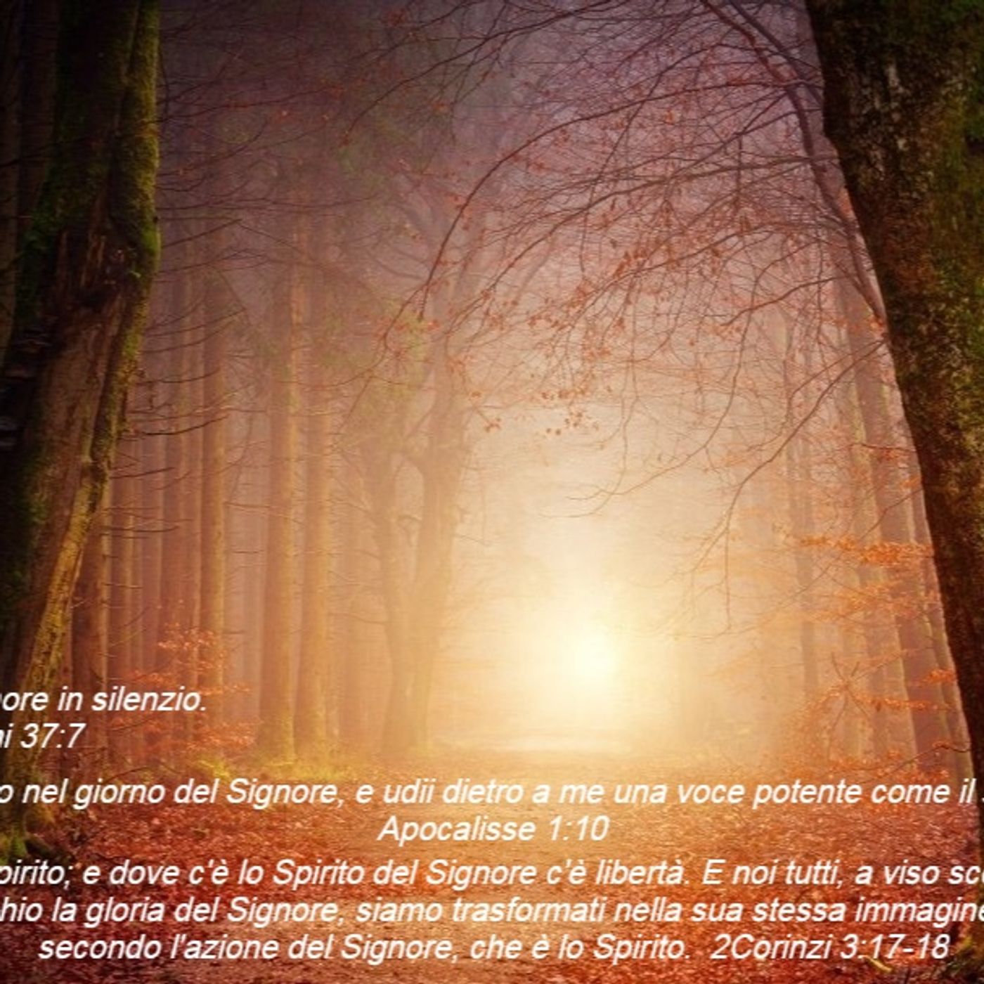 Radio Luce nel Cammino