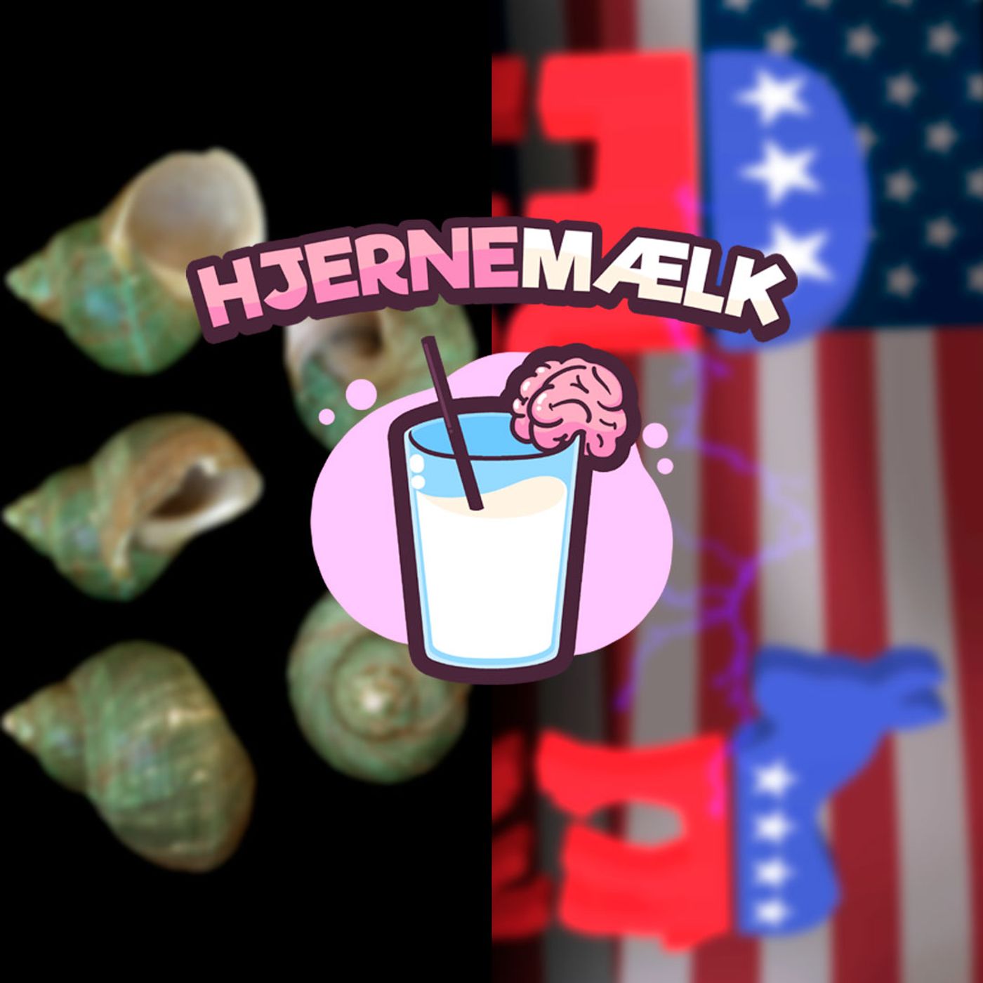 Hjernemælk