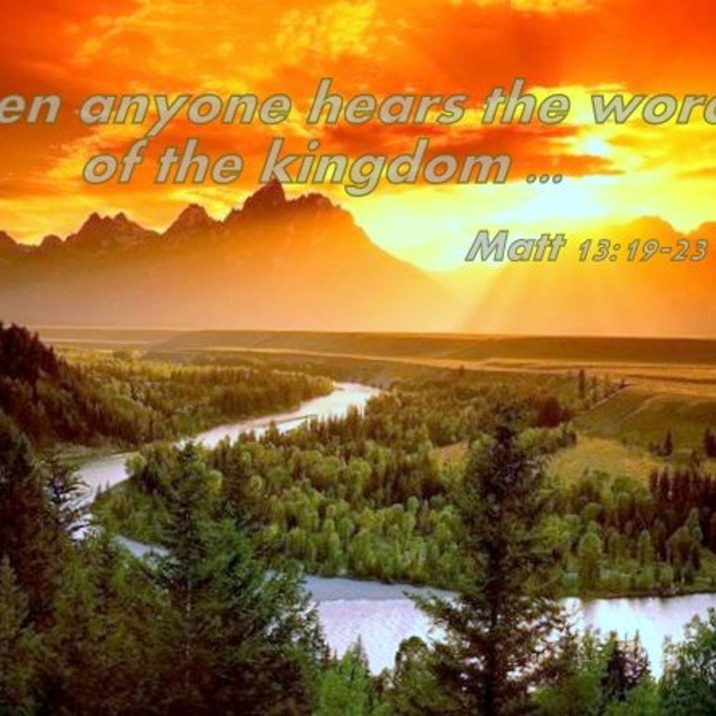 Kingdom Nuggets