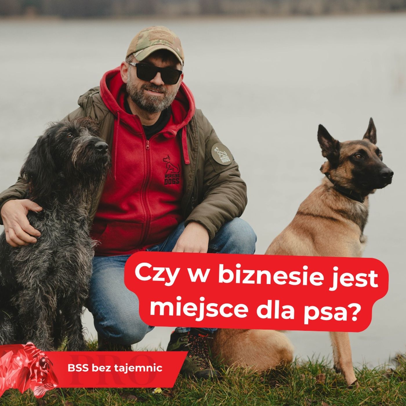 Employer branding z czworonożnym wsparciem. Biznes i edukacja w działaniach Working Dogs Foundation