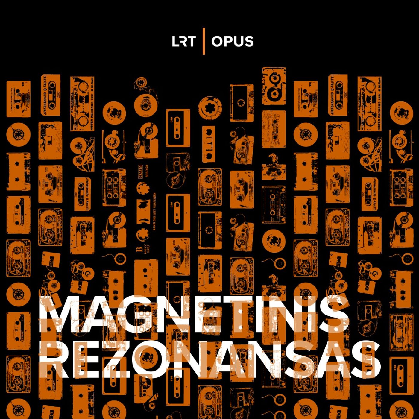 Magnetinis rezonansas