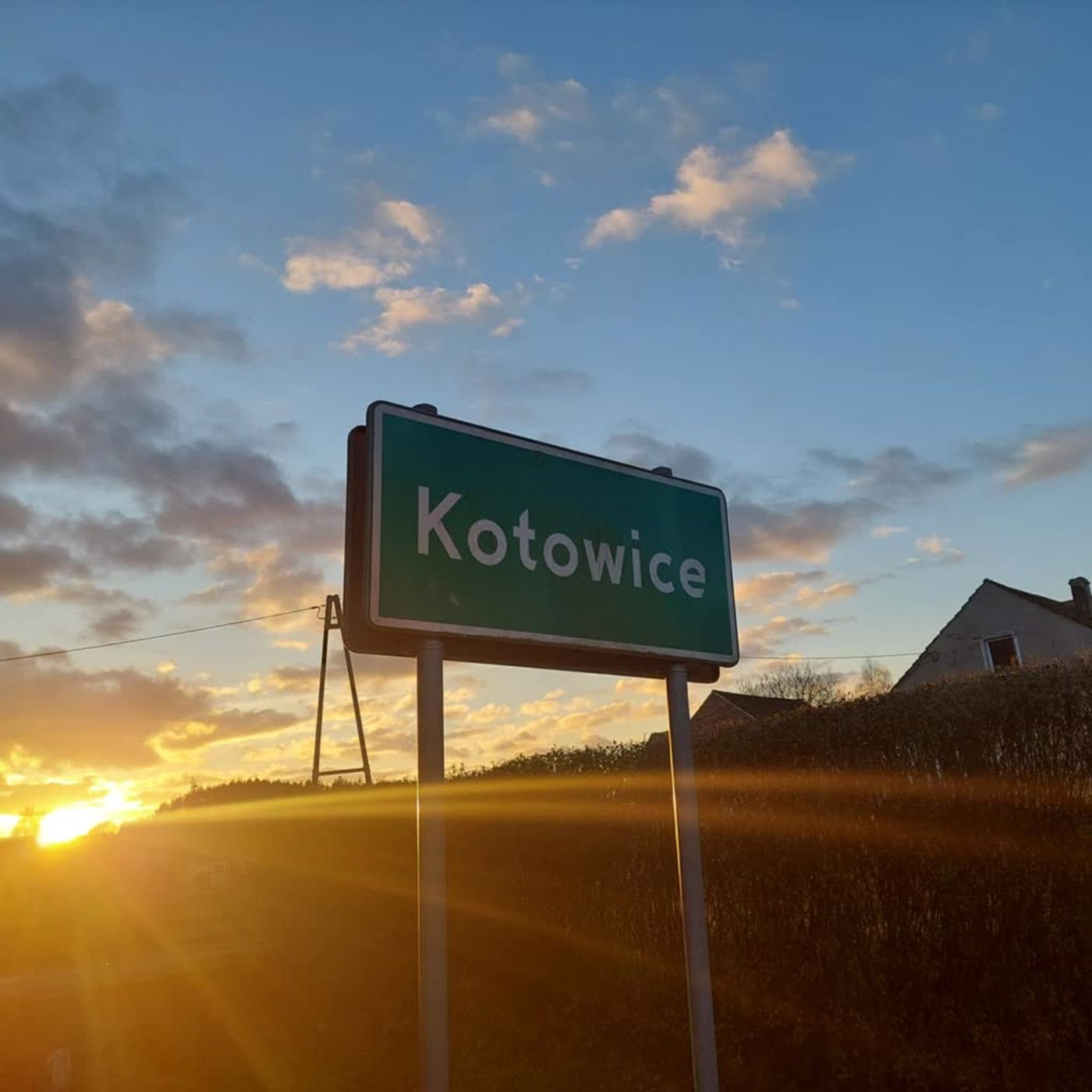 „Welon oliwny"  reportaż Izabeli Kwiatkowskiej episode artwork