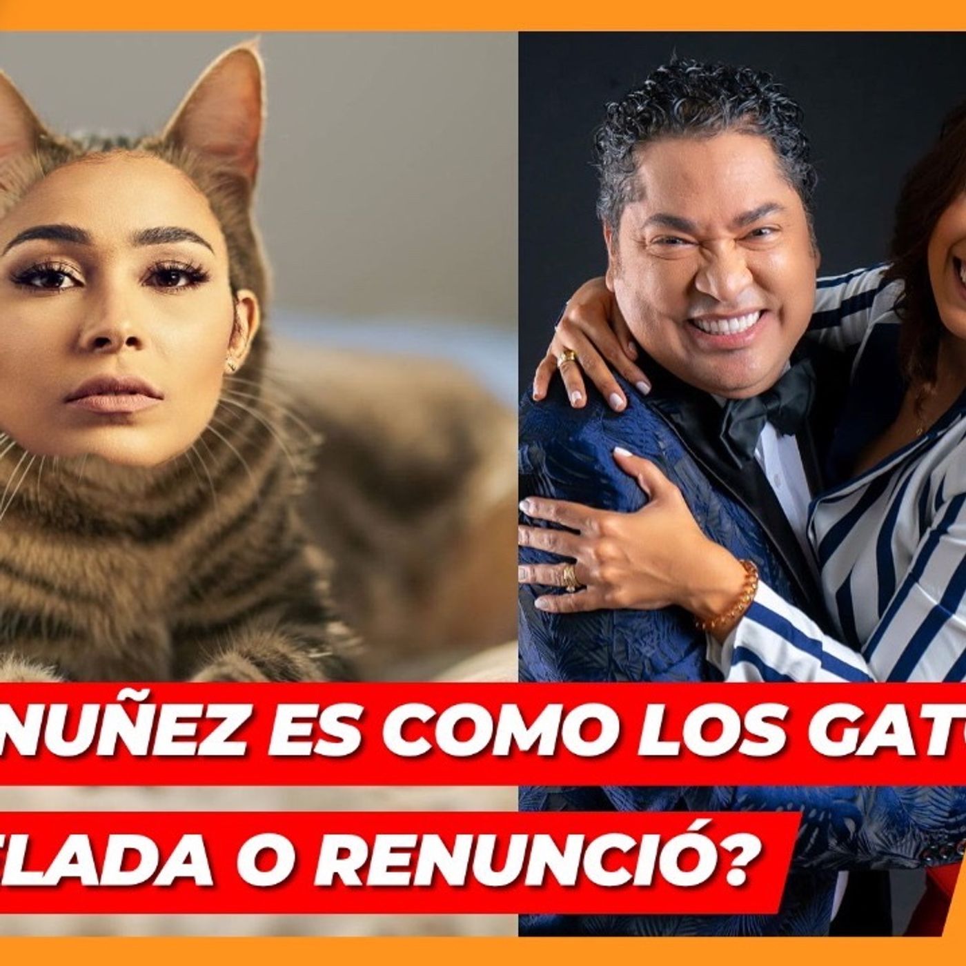 NELFA NUÑEZ ES COMO LOS GATOS CANCELADA O RENUNCIÓ episode artwork
