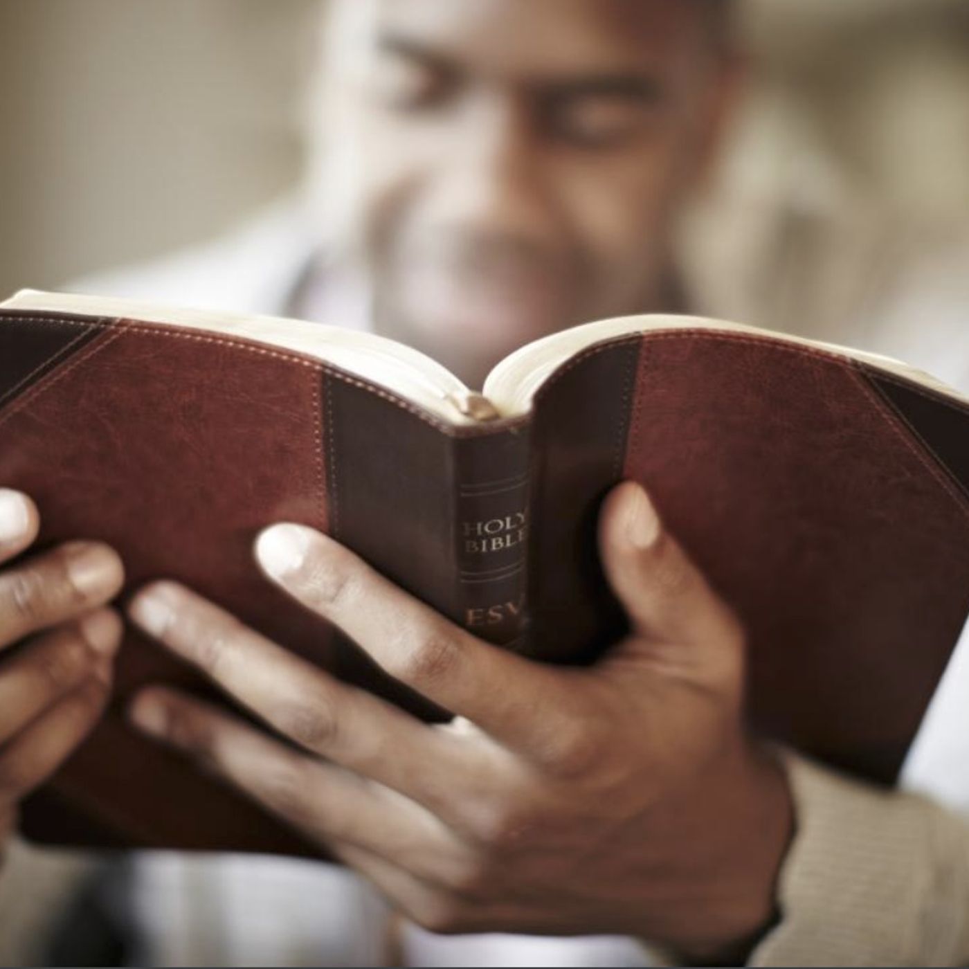 1st Samuel chapter 25