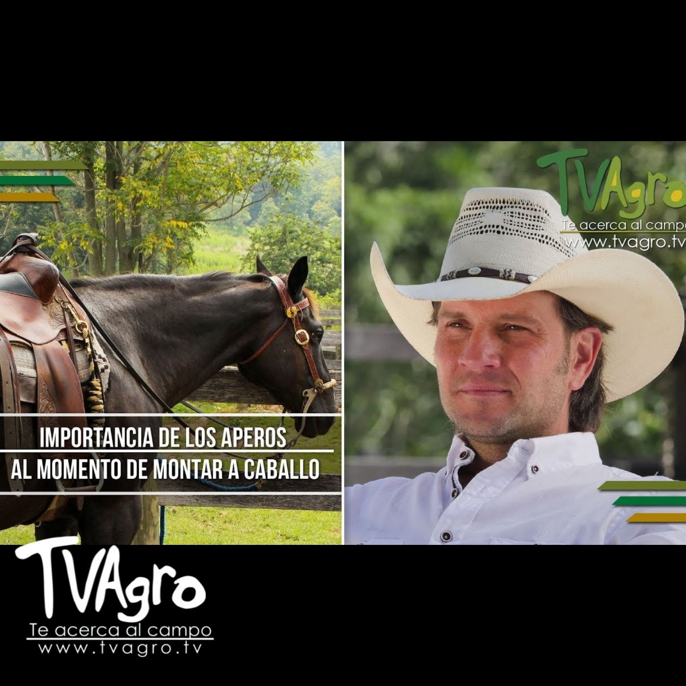 TV AGRO