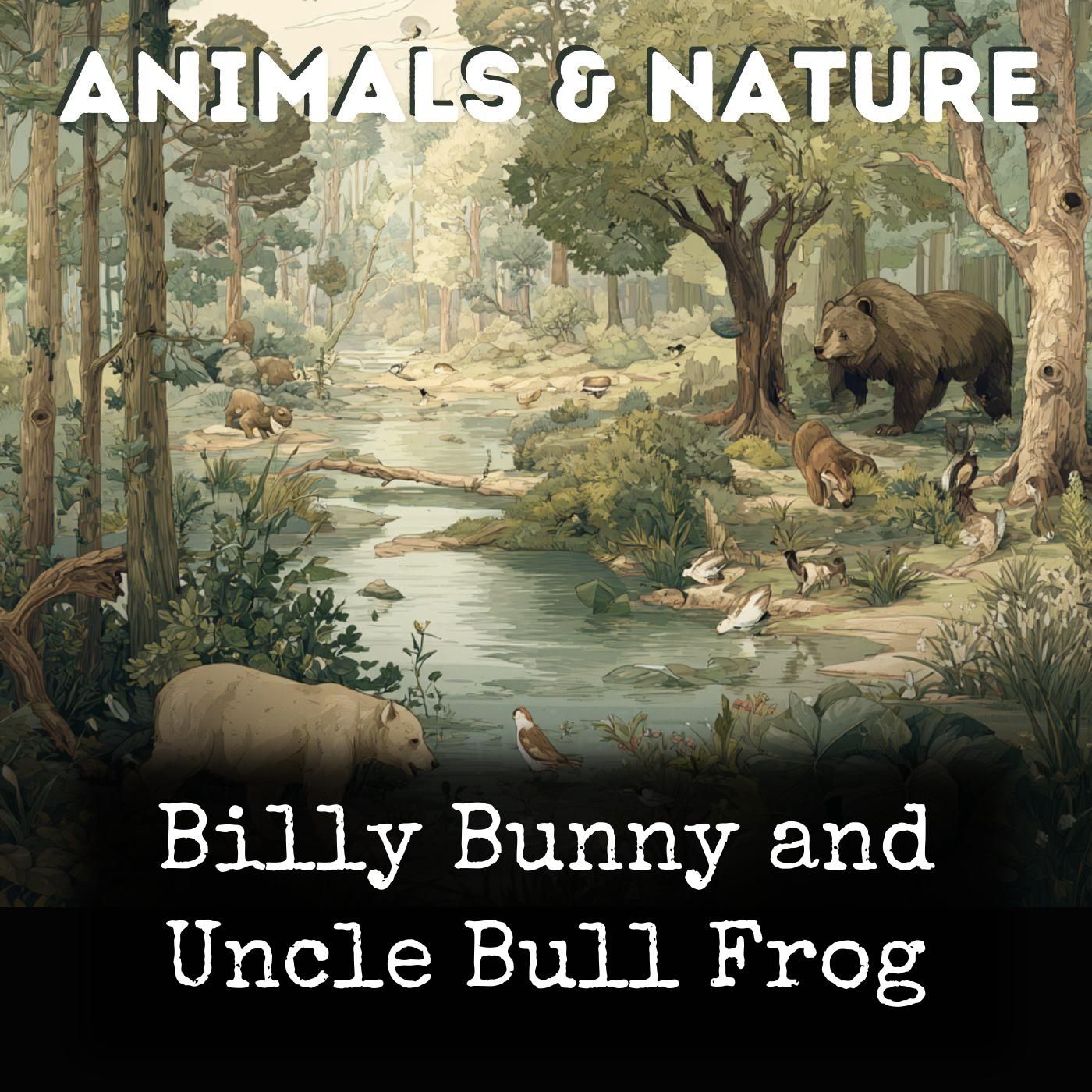 Billy Bunny and Uncle Bull Frog