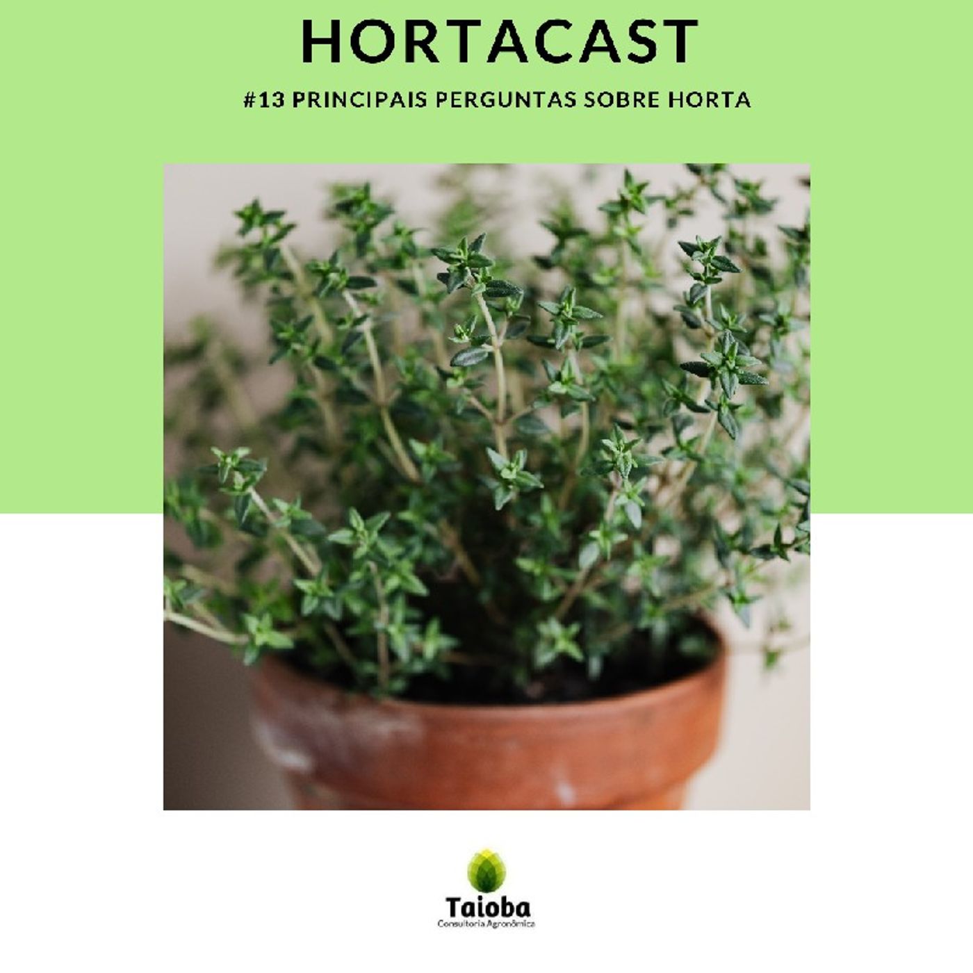 HortaCast\'s show