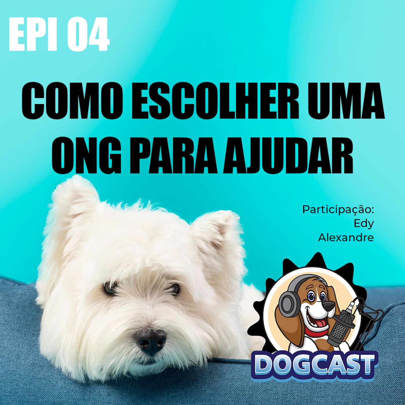 #04 - Como Escolher Uma ONG Para Ajudar