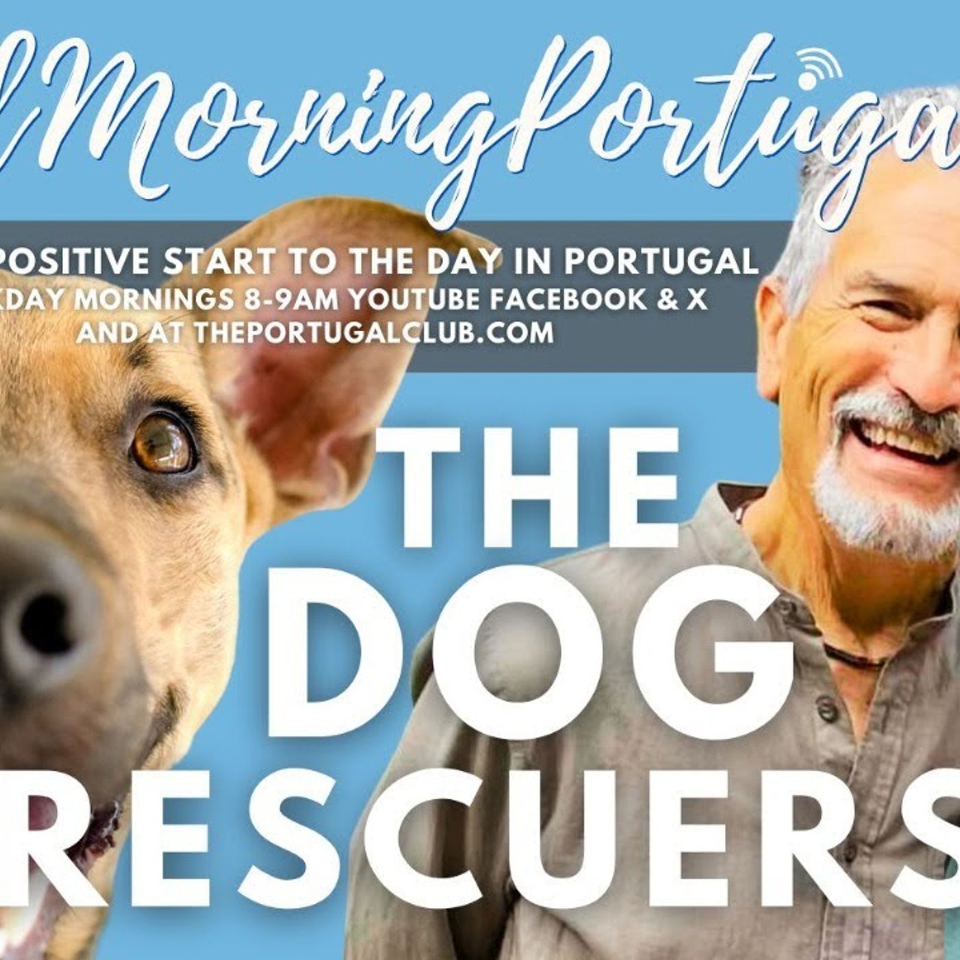 The Dog Rescuers Bob & Viv on Good Morning Portugal!