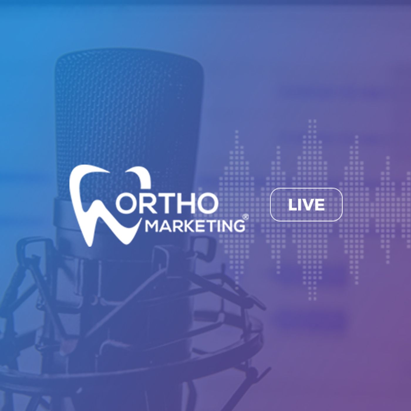 OM Ep. 46: Why you should invest in a marketing plan. episode artwork