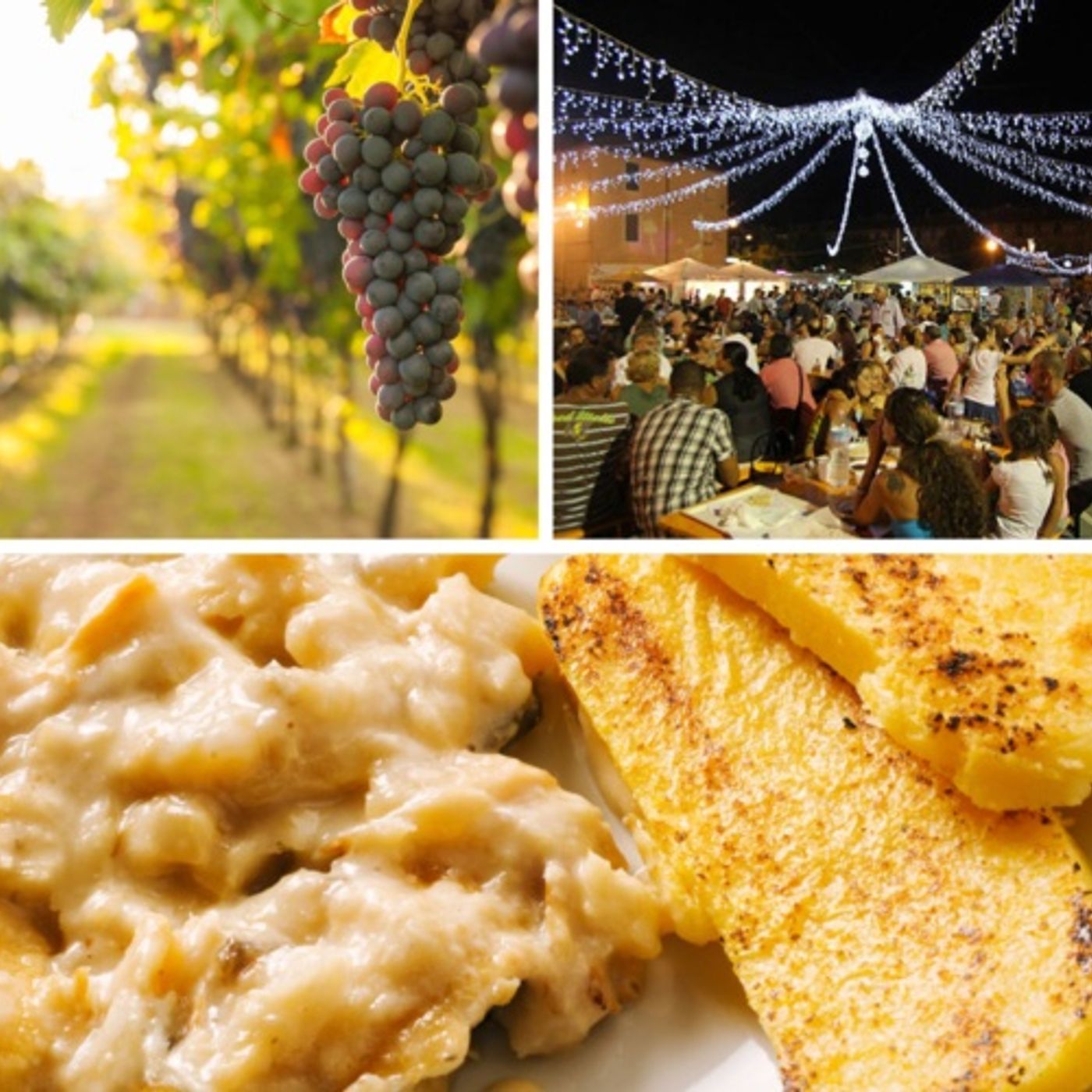Degusta in vigna, Sagra di San Michele, Marcia Macondo e Festa del bacalà: ecco gli eventi del weekend
