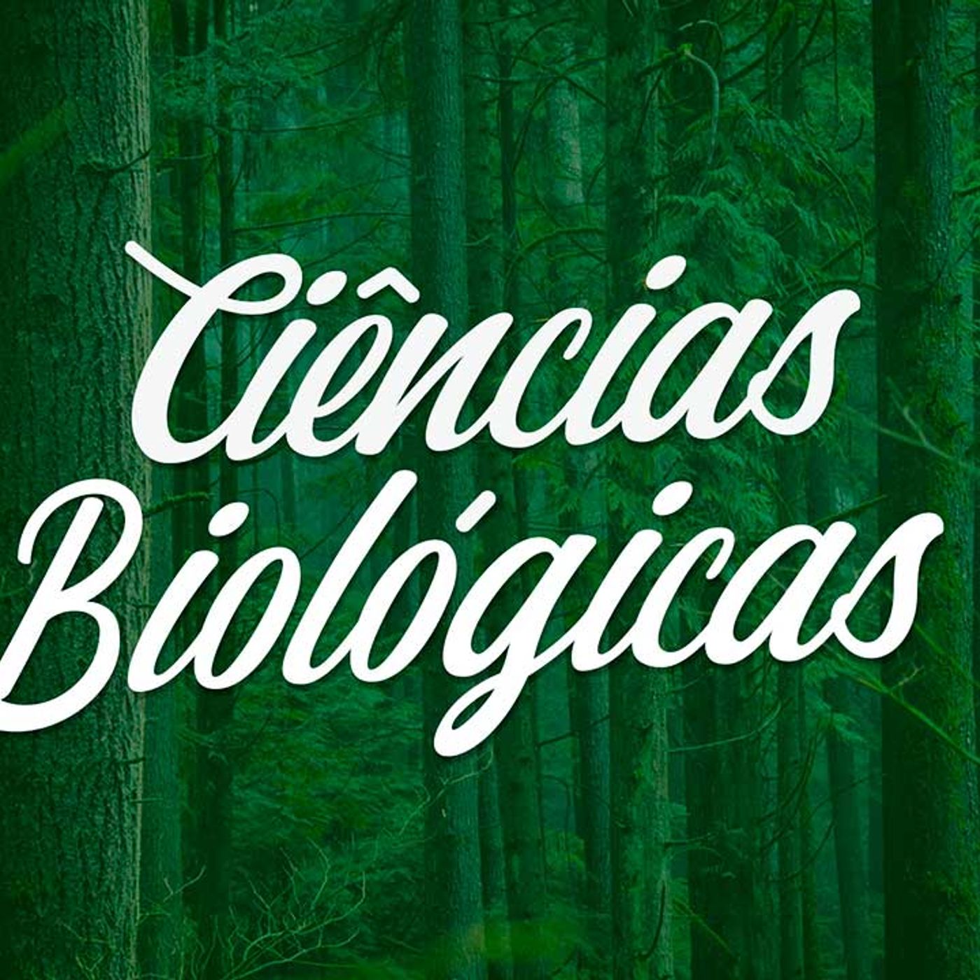 Escola Guilhermino de Oliveira\'s show