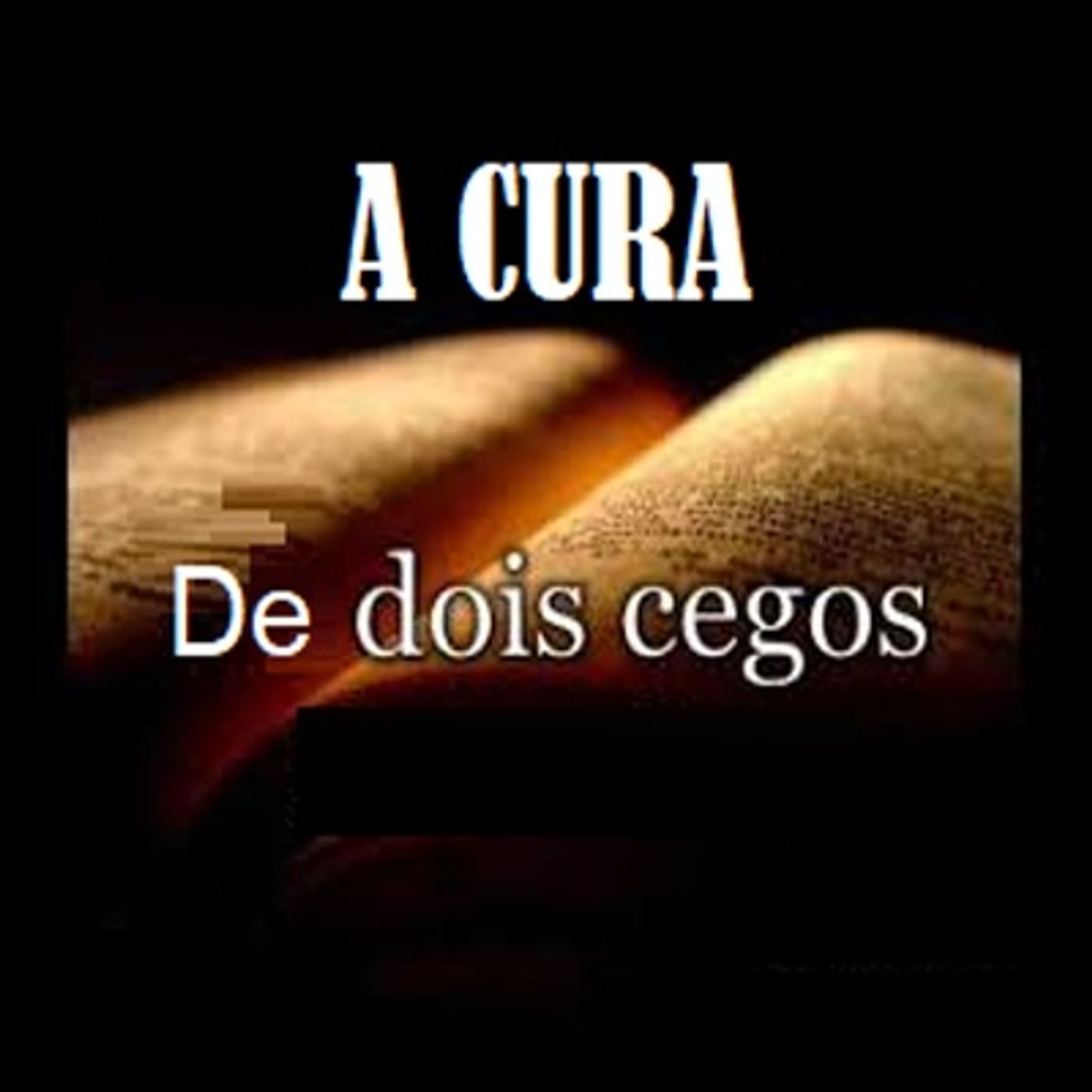 Pregações 2019
