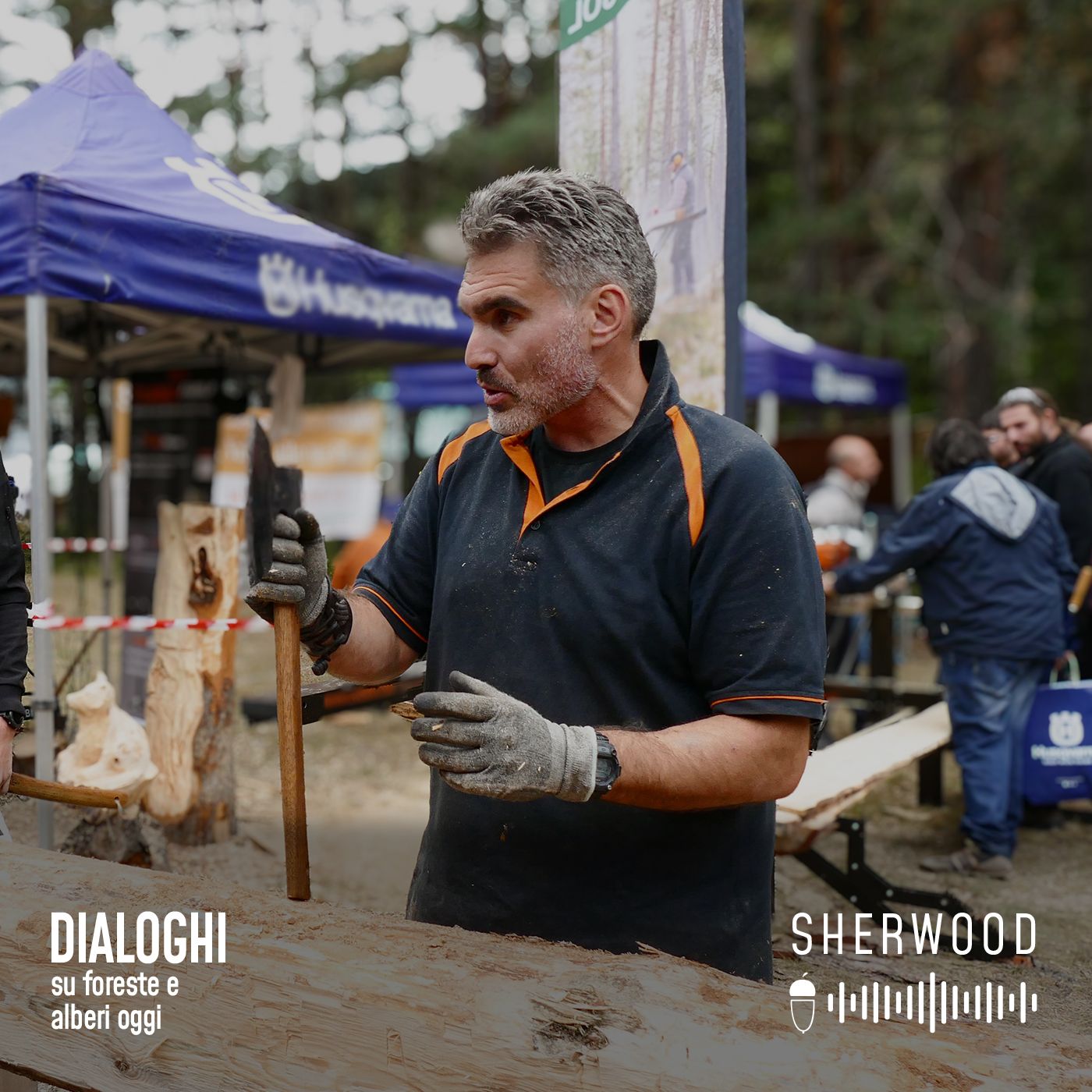 Dialoghi su foreste e alberi oggi