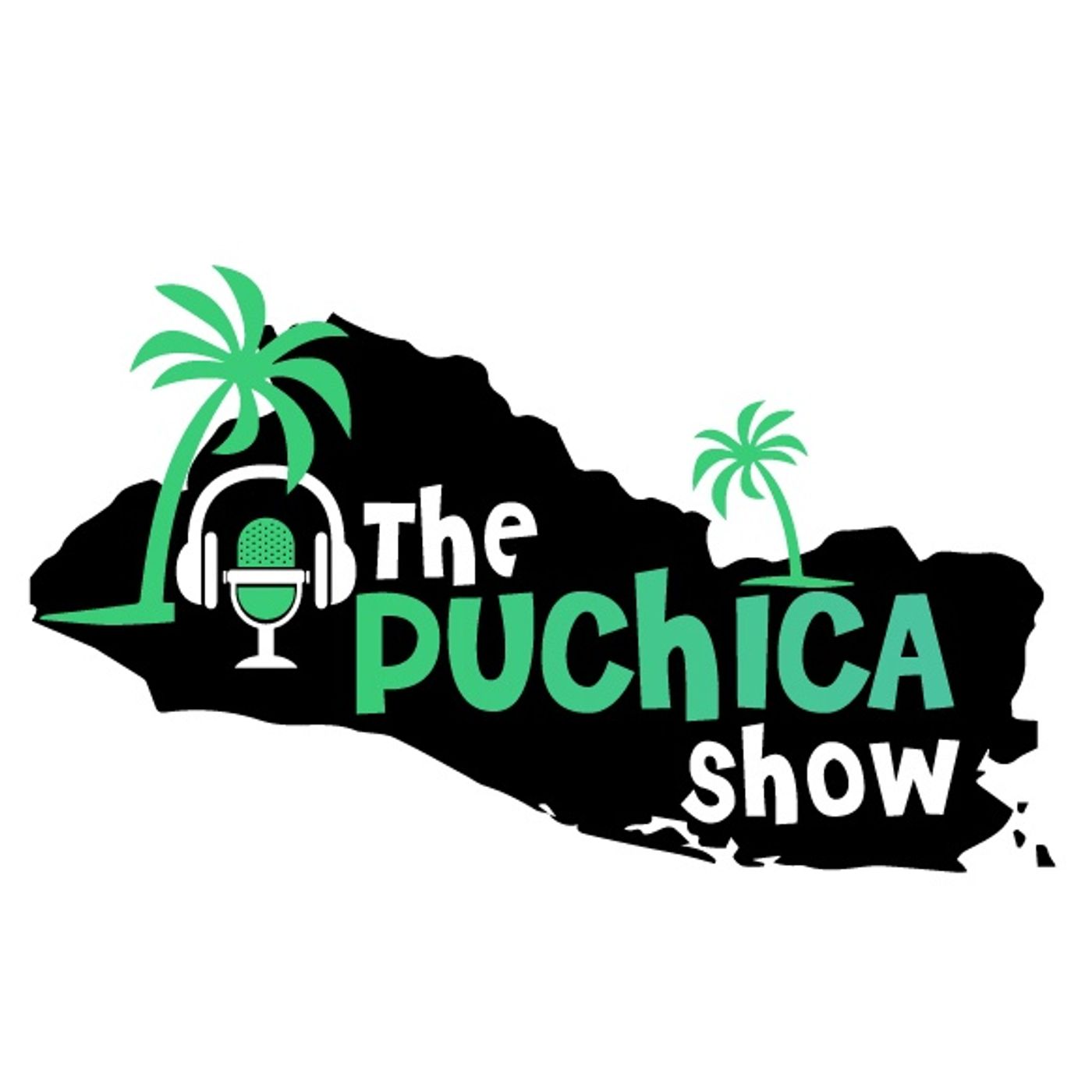 Puchica Ep 40 Remembering Old Games Like Beaves and Butthead, DBZ Goten's Power Theory and More