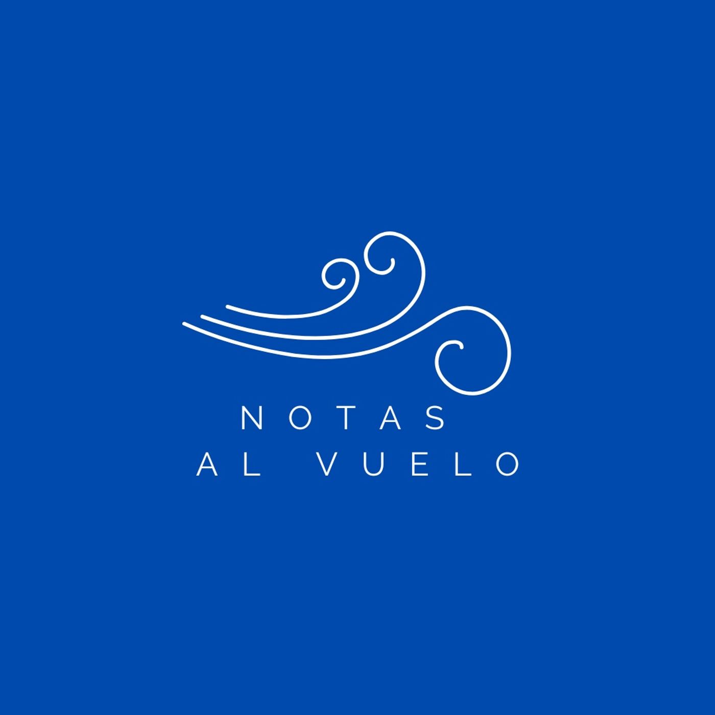 Notas al vuelo