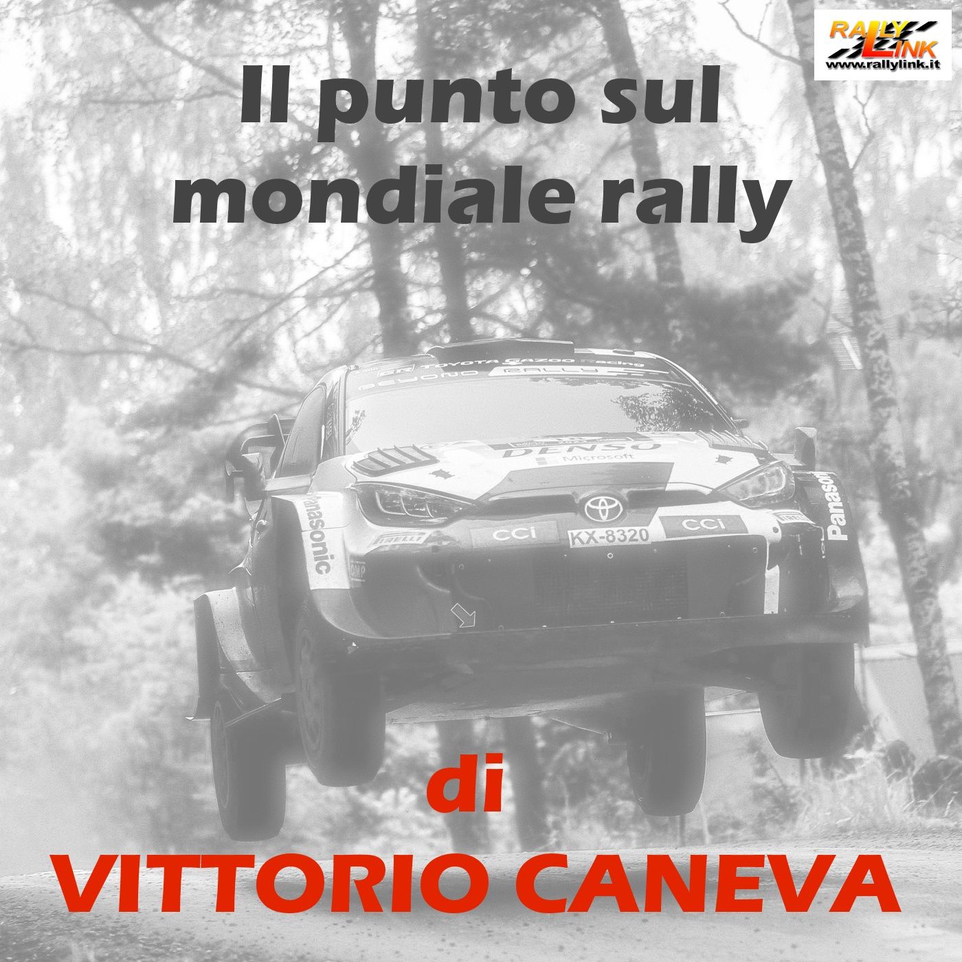 rallylink - si parla di rally