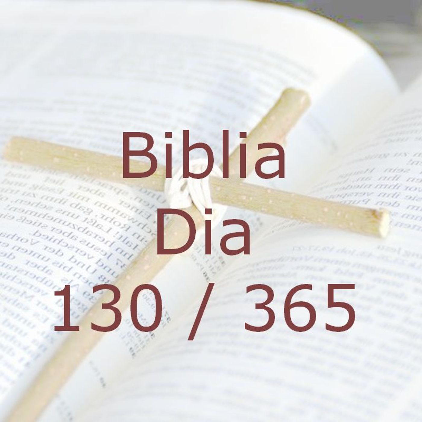 La Biblia en 365 dias