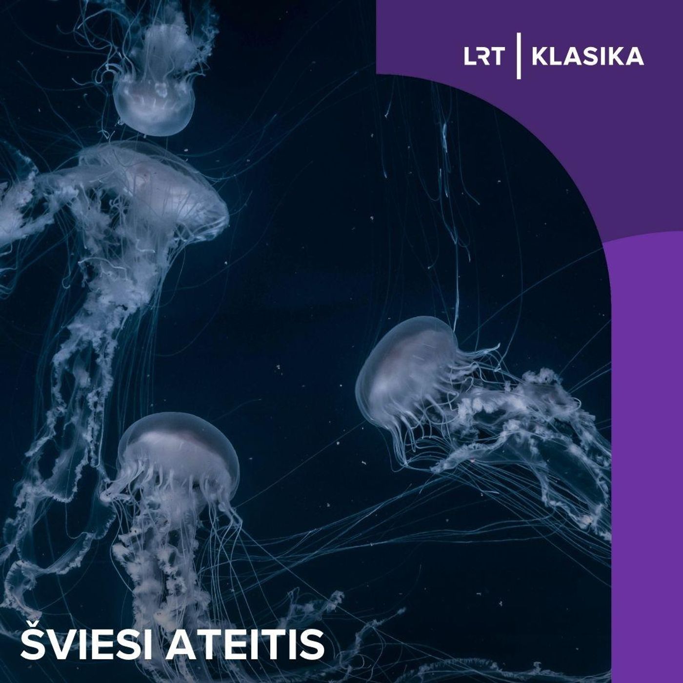 Šviesi ateitis. Vandenyno gelmių tyrinėjimai ir grėsmės Baltijos jūrai episode artwork