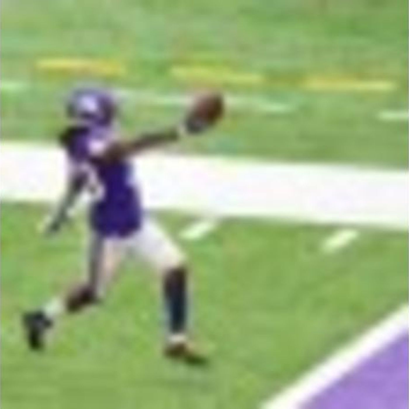 Purple People Eaters: Vikings vs. Bears Monday Night Preview! Review Lions Win! episode artwork