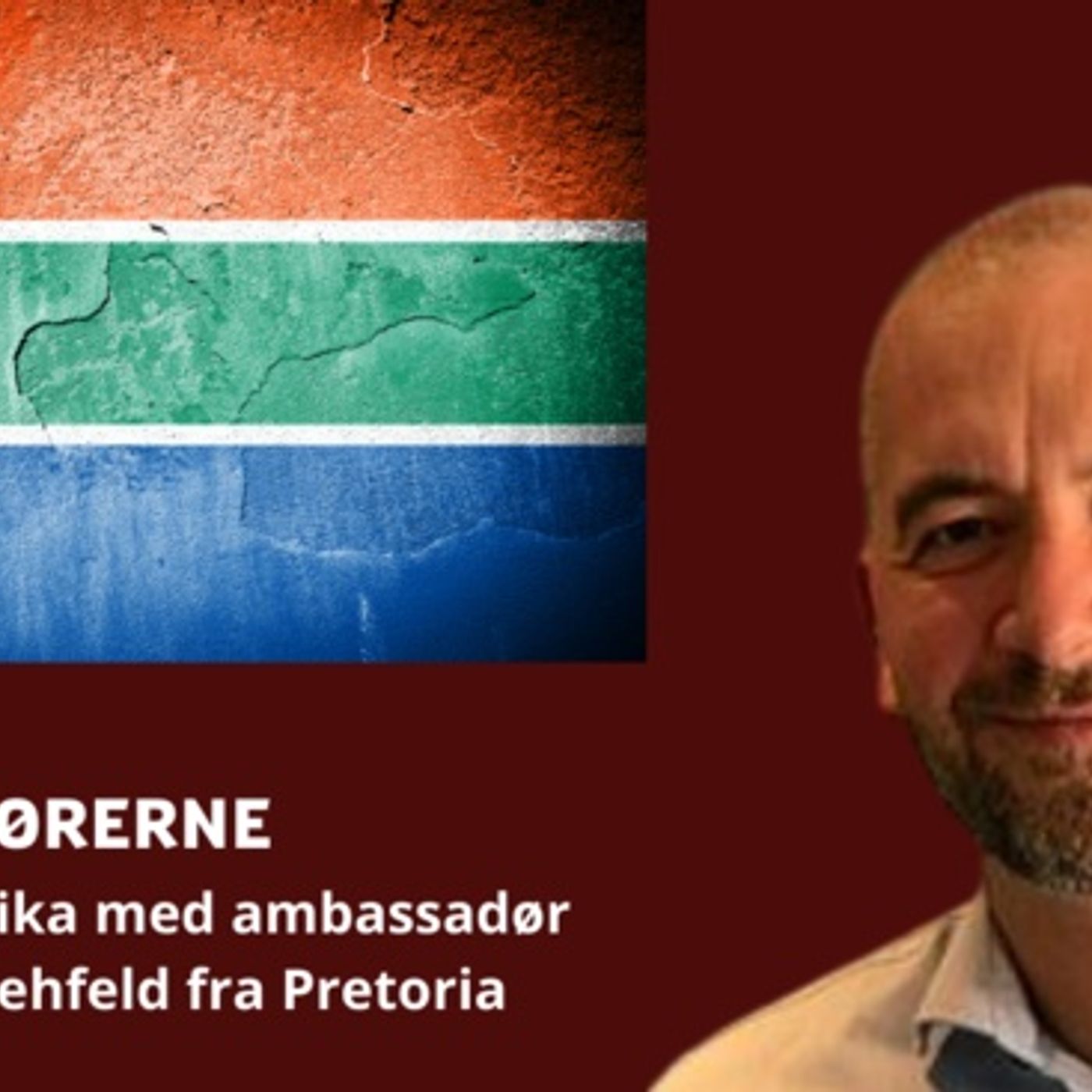 Ambassadørerne