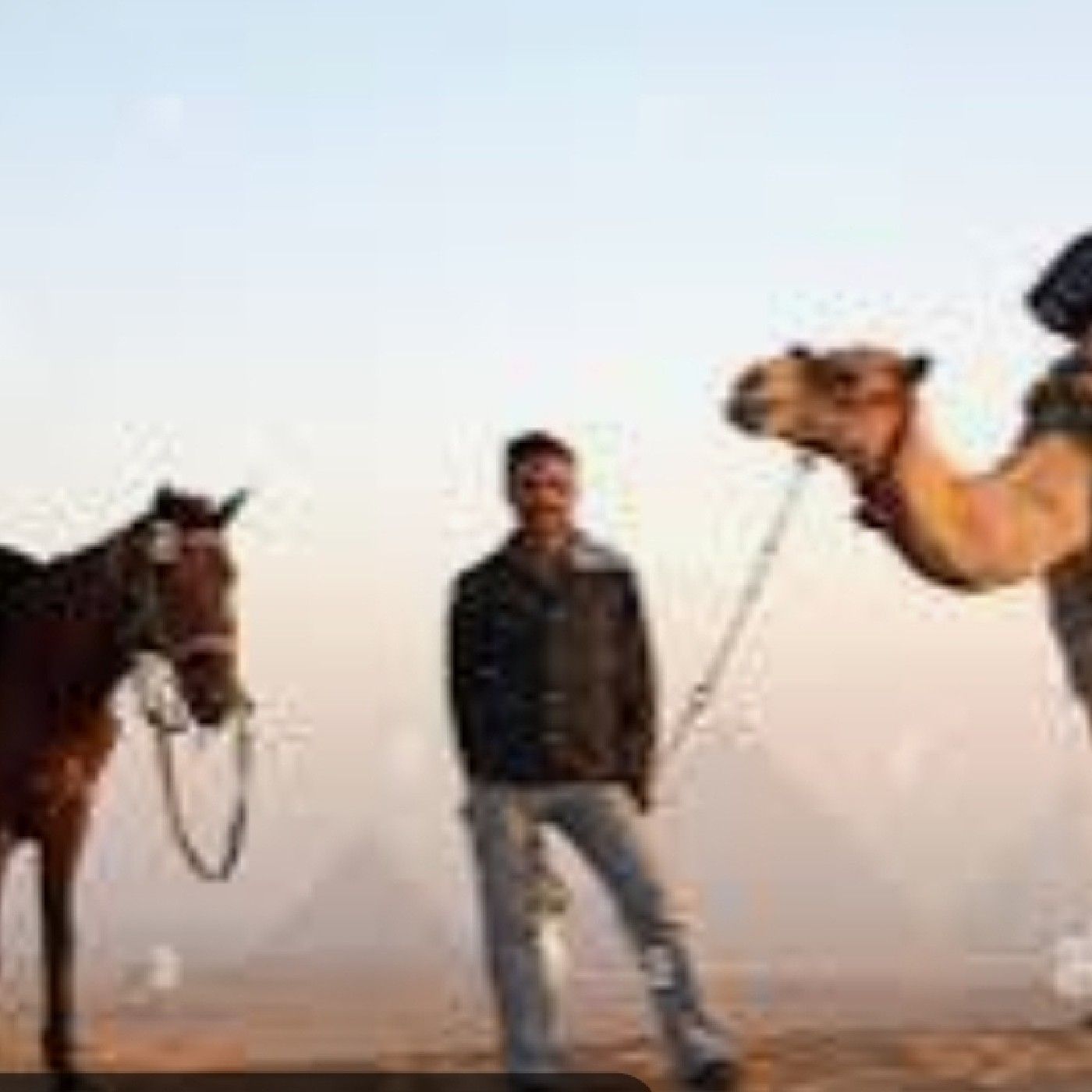 El comerciante y sus acompañantes cover art