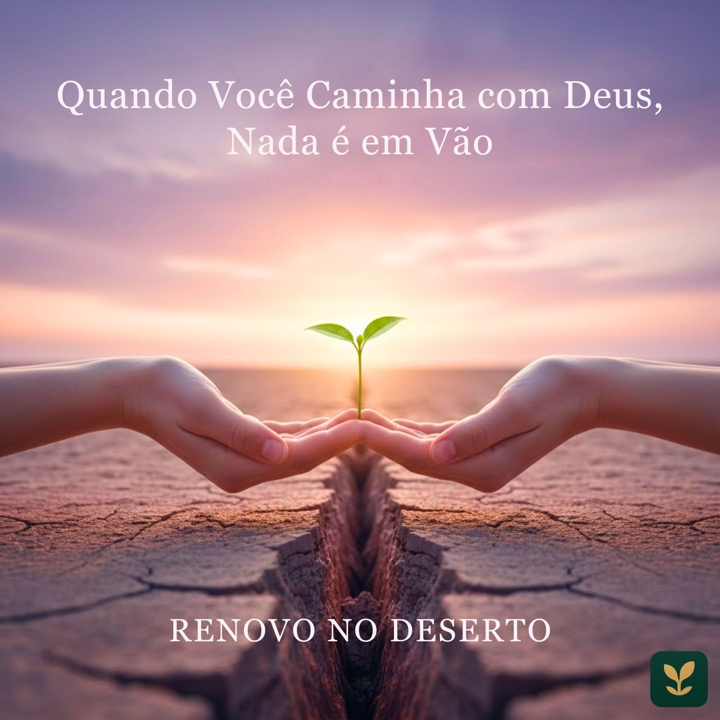 Renovo no Deserto