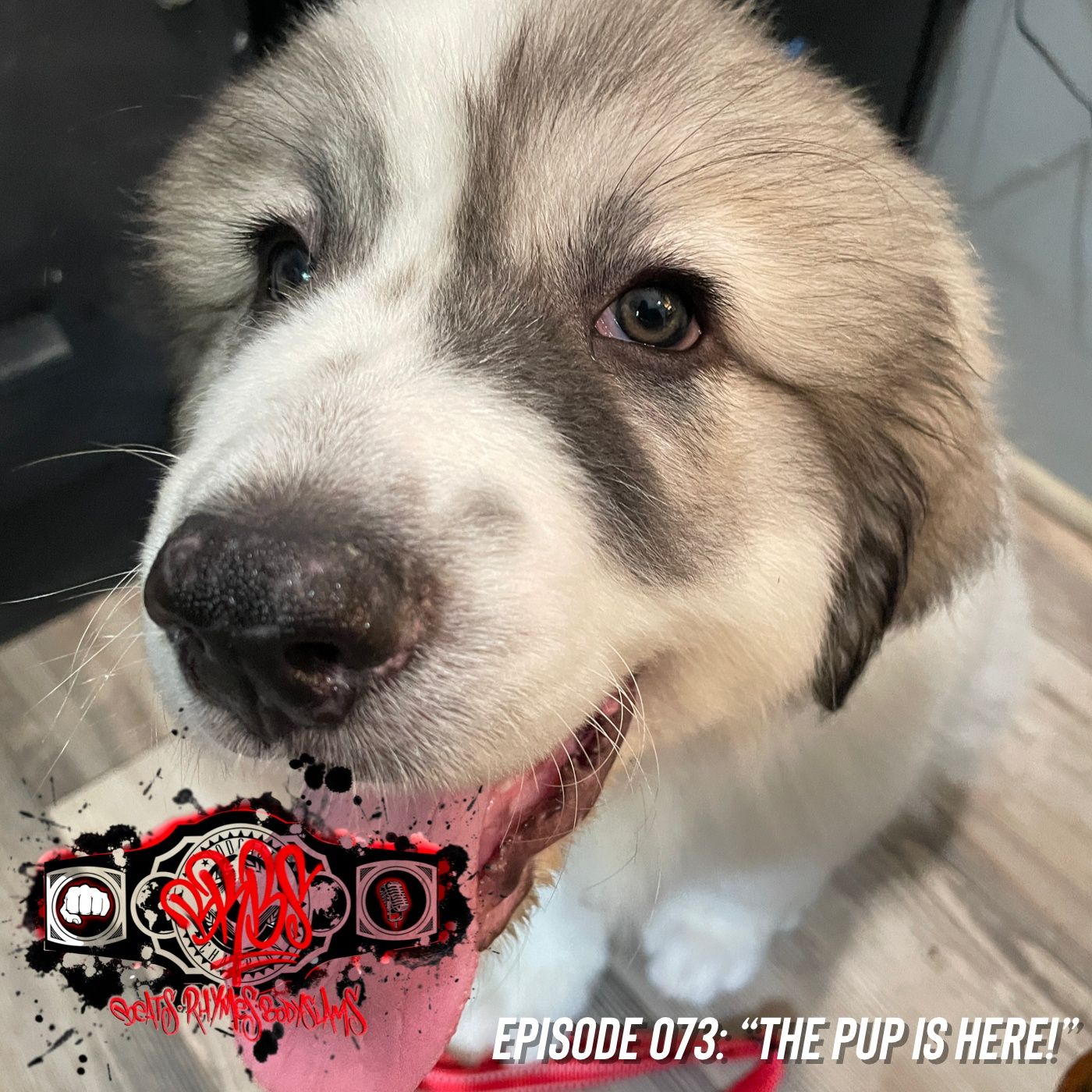 Episode 073: “The Pup Is Here!” thumbnail