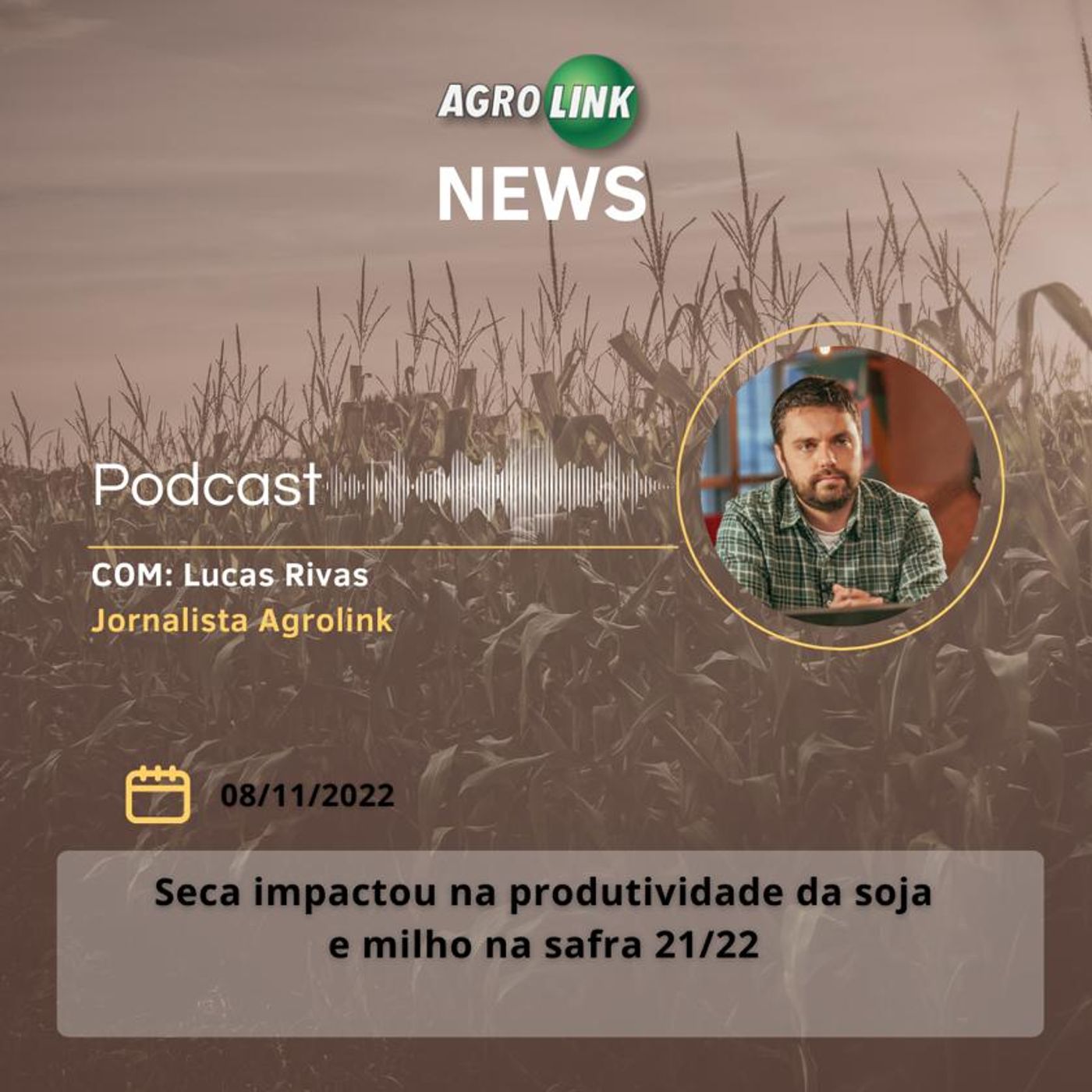 Exportações de carne bovina têm receita de US$ 1,2 bilhão em outubro episode artwork