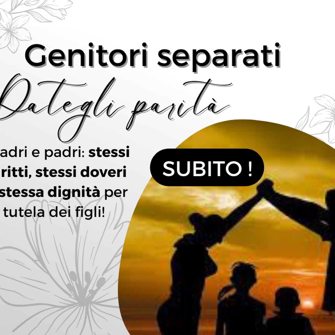 L'emergenza sociale dei padri separati o divorziati episode artwork