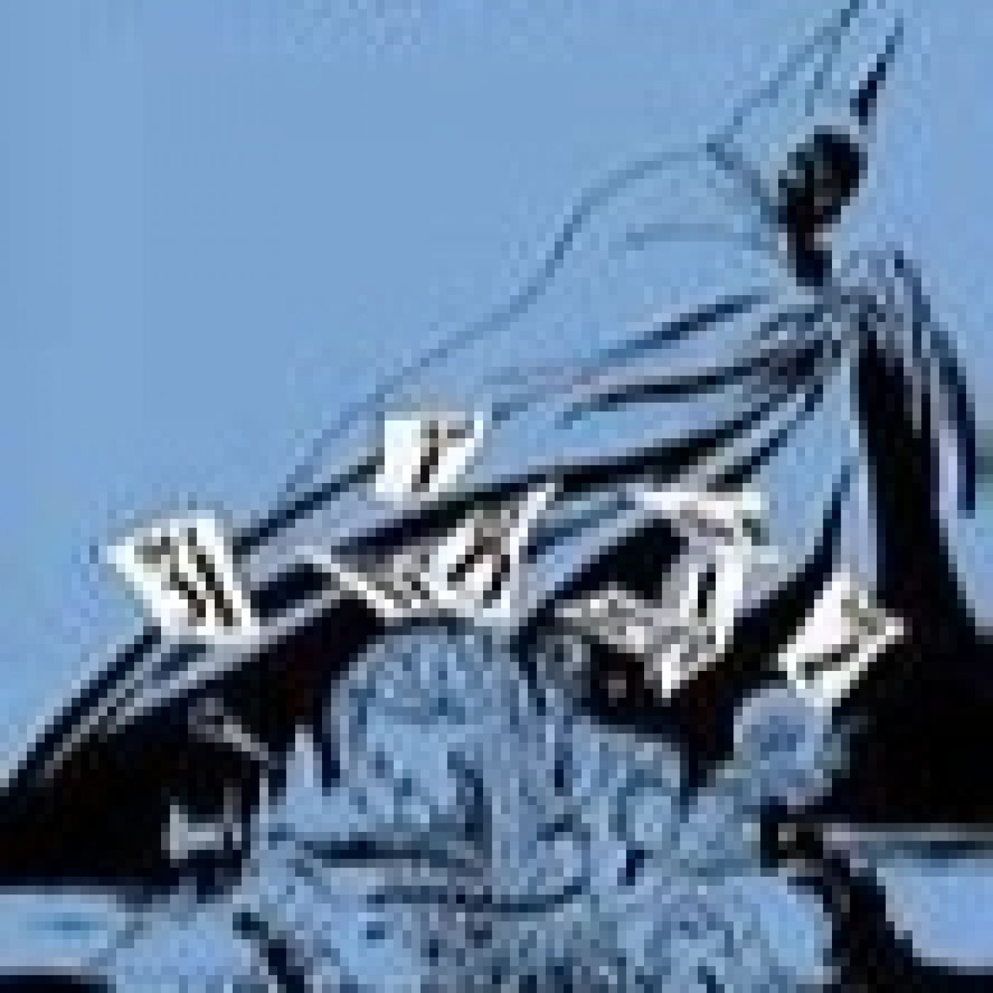 El podcast de achraf El yousfi tahiri