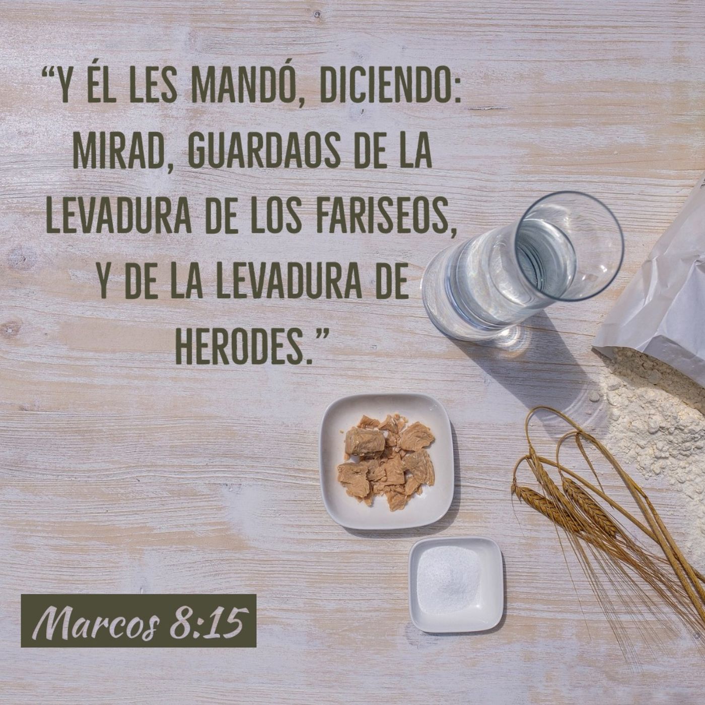 Evangelio de Marcos