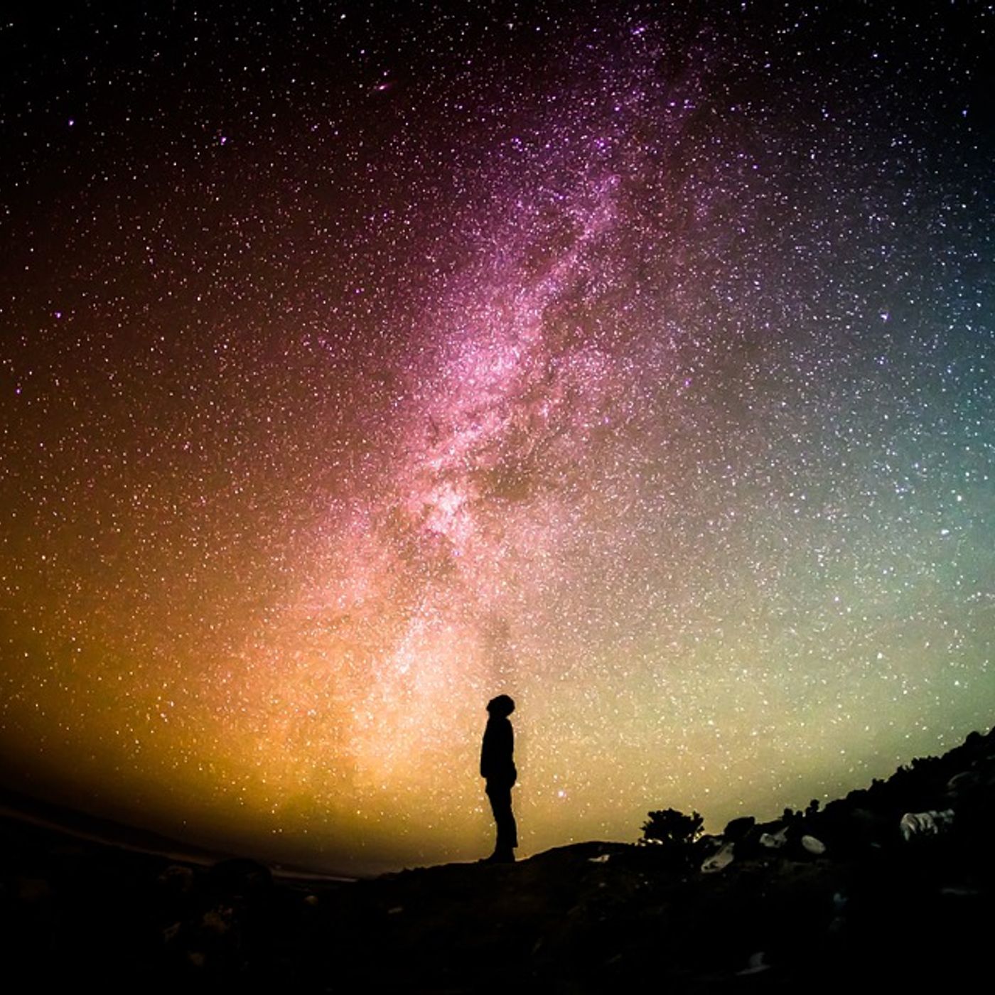 Favole della buonanotte per manager