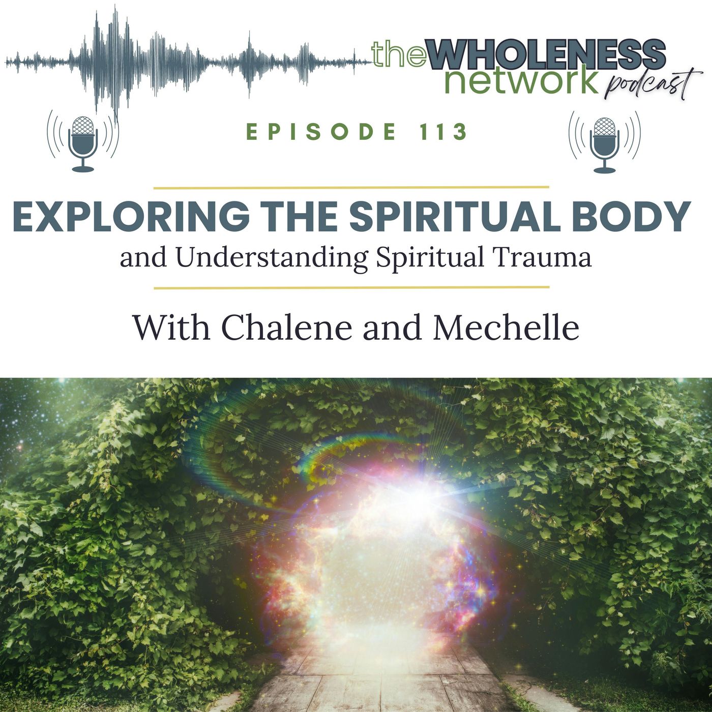 Exploring the Spiritual Body and Understanding Spiritual Trauma  113. episode artwork