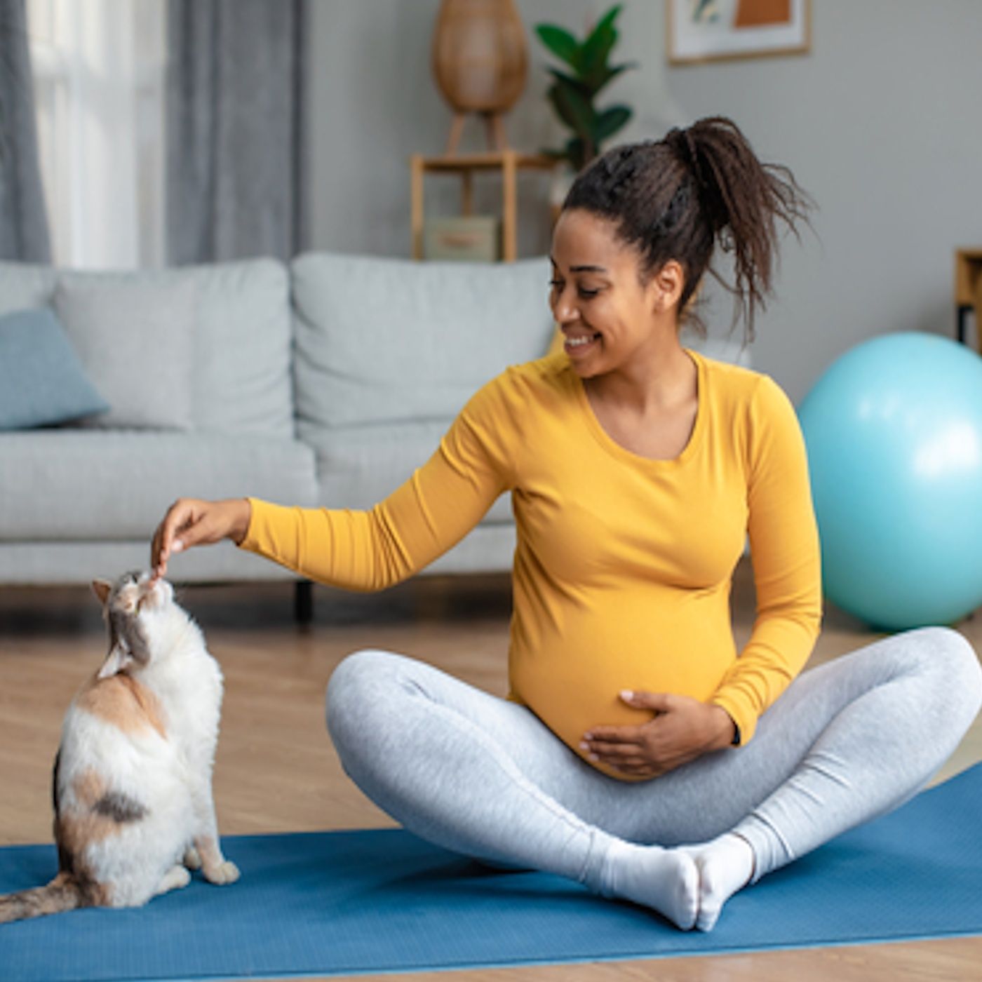 VETtalk Online Podcasts