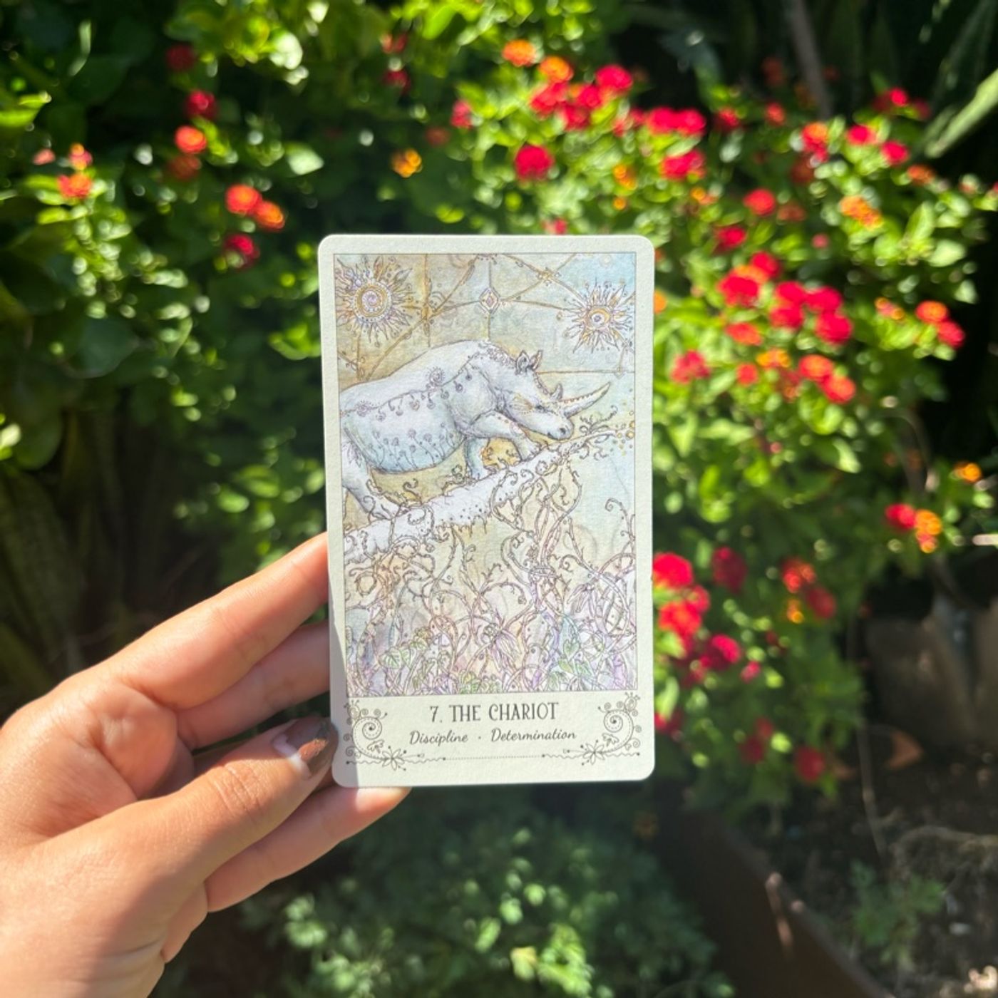 Journey through the Tarot: The Chariot