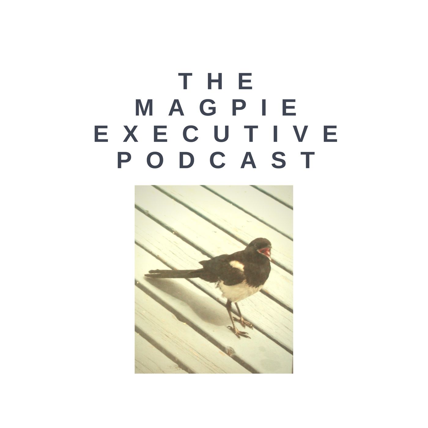 The Magpie Executive