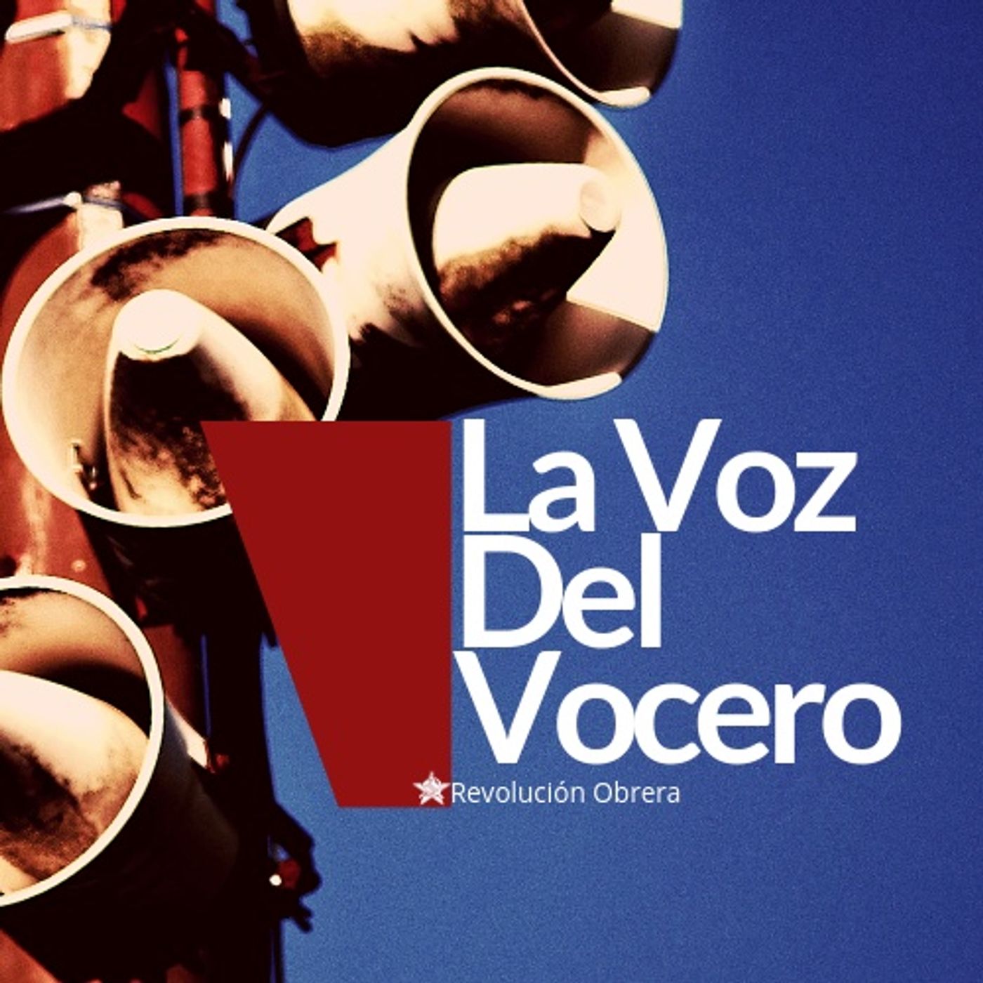 La Voz Del Vocero