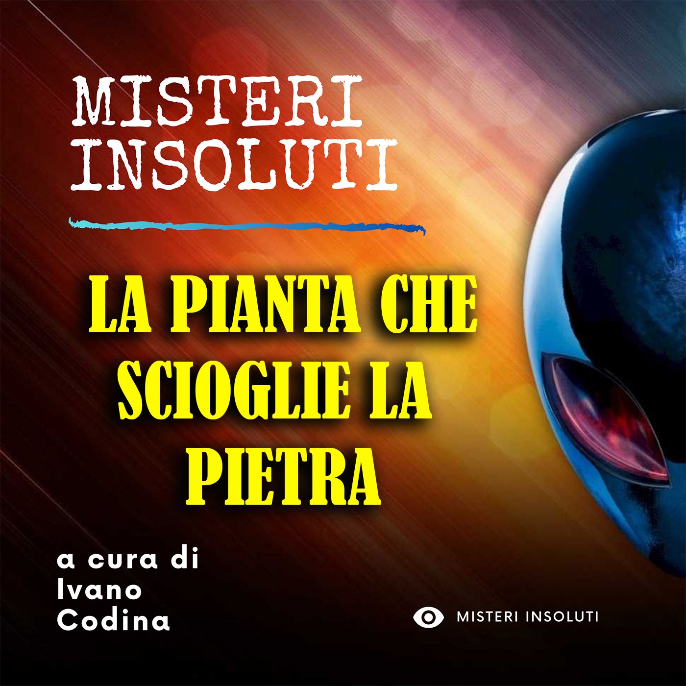 Misteri Insoluti