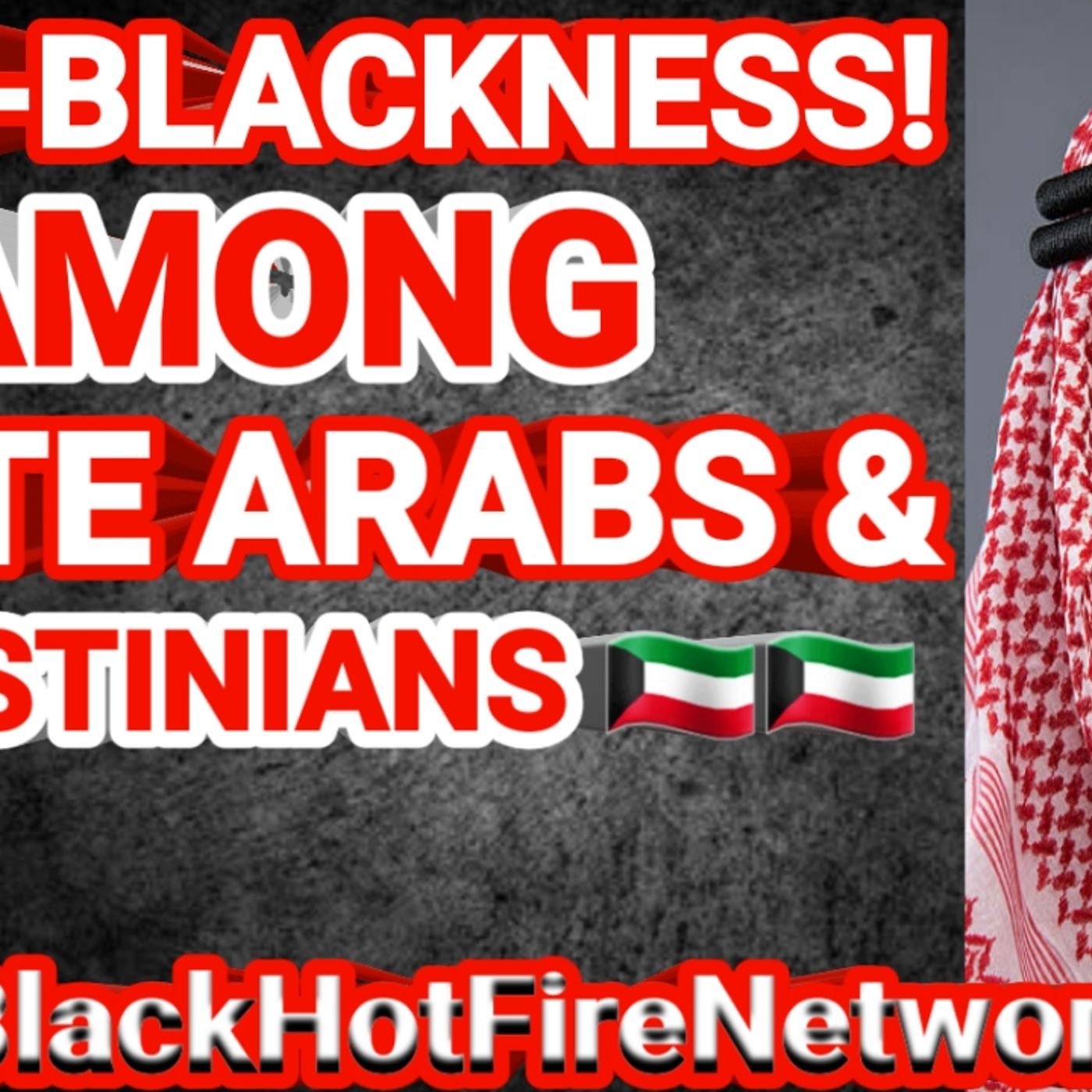 ANTI BLACK HATE AMONG WHITE ARABS & PALESTIANS episode artwork