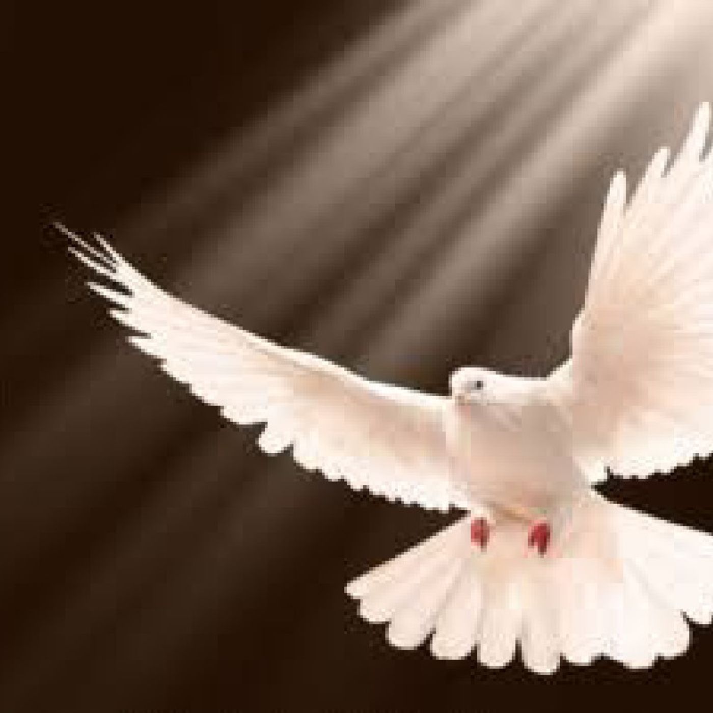 Upper Room Broadcast with Apostle Sam