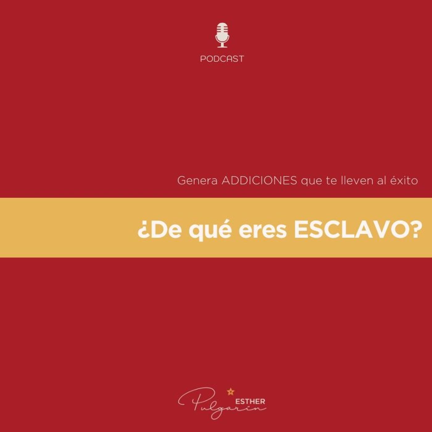 Tejiendo Redes